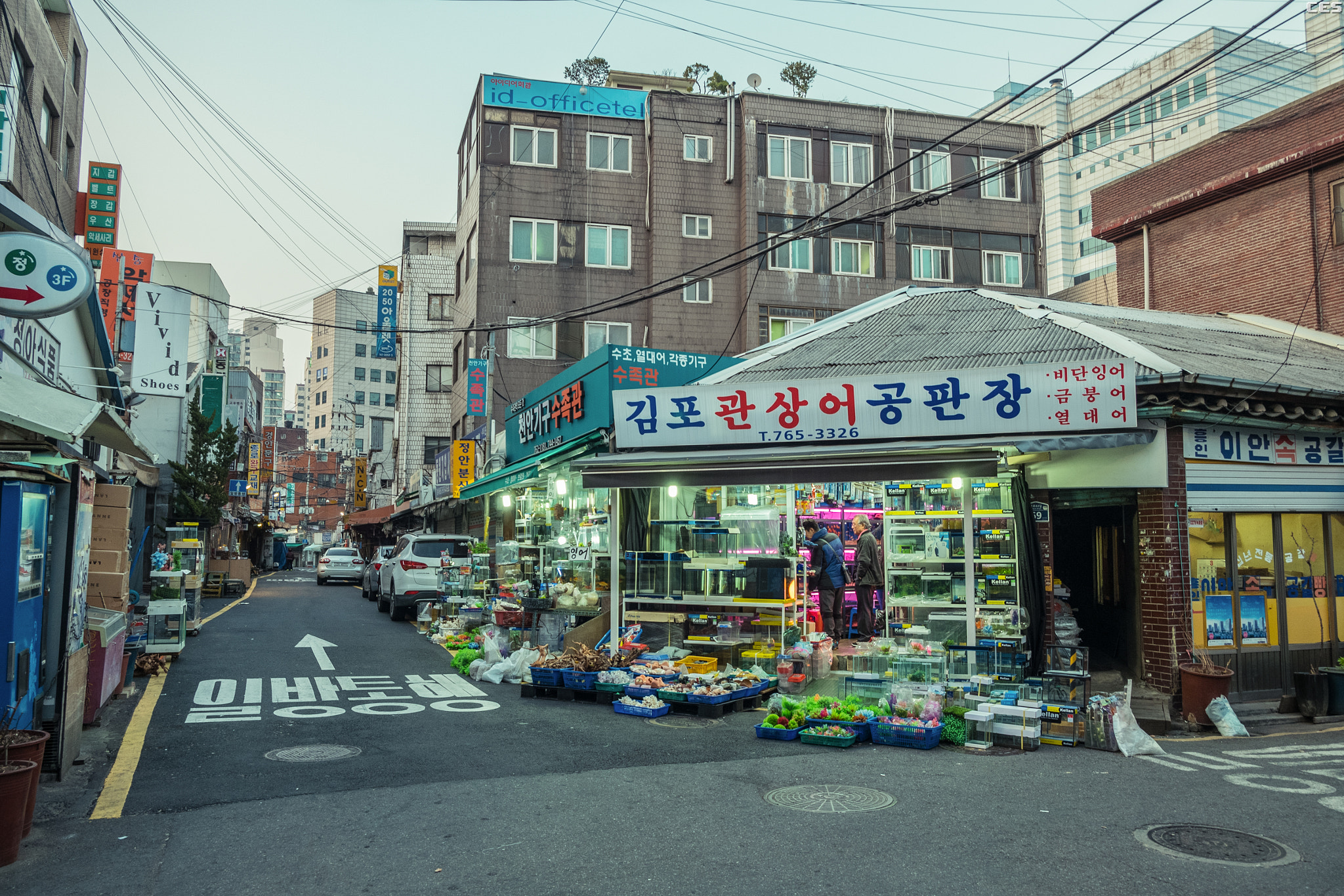 Fujifilm X-A2 + Fujifilm XF 18-55mm F2.8-4 R LM OIS sample photo. Aquarium market photography