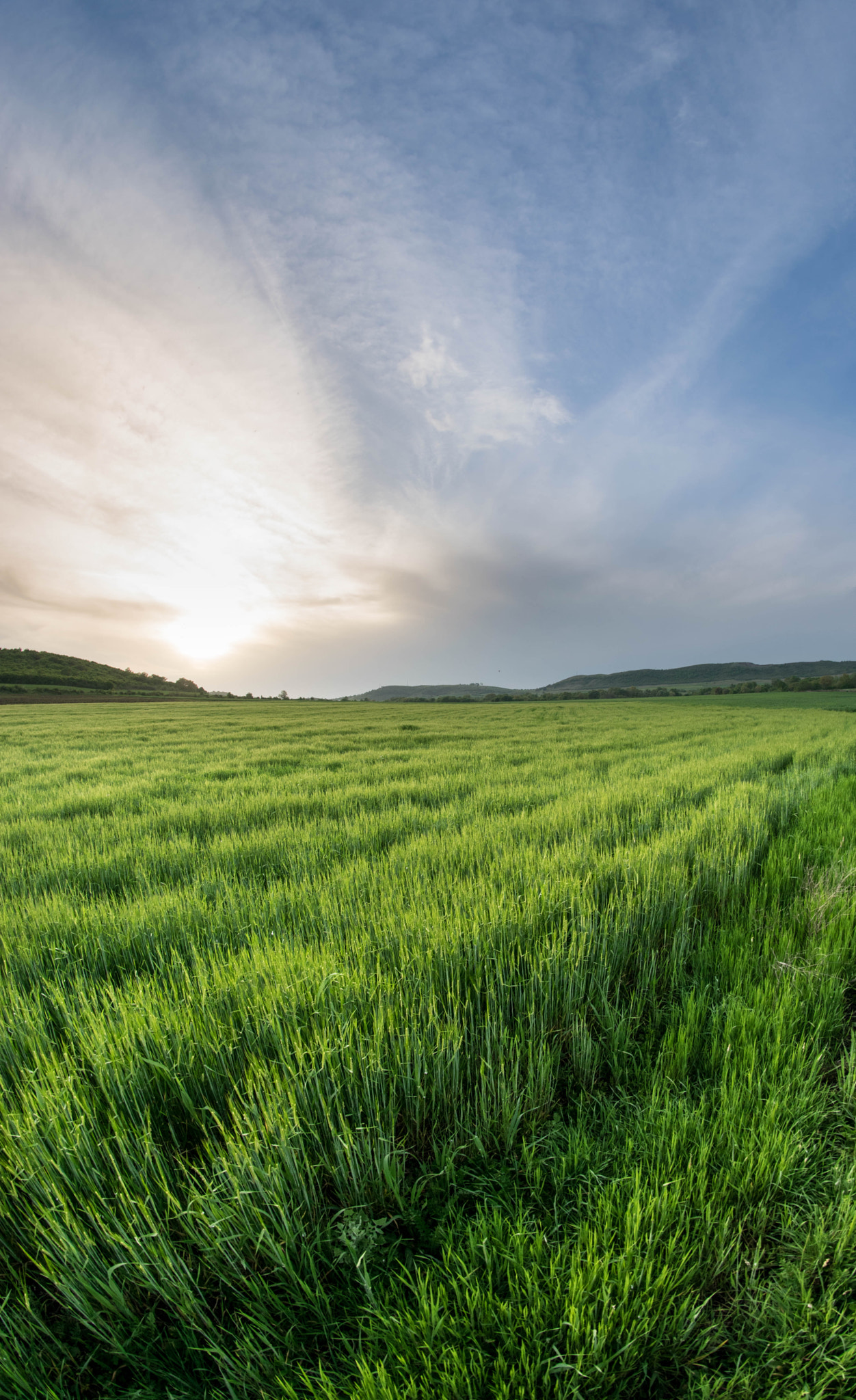 Nikon D3300 + Samyang 8mm F3.5 Aspherical IF MC Fisheye sample photo. The endless field photography