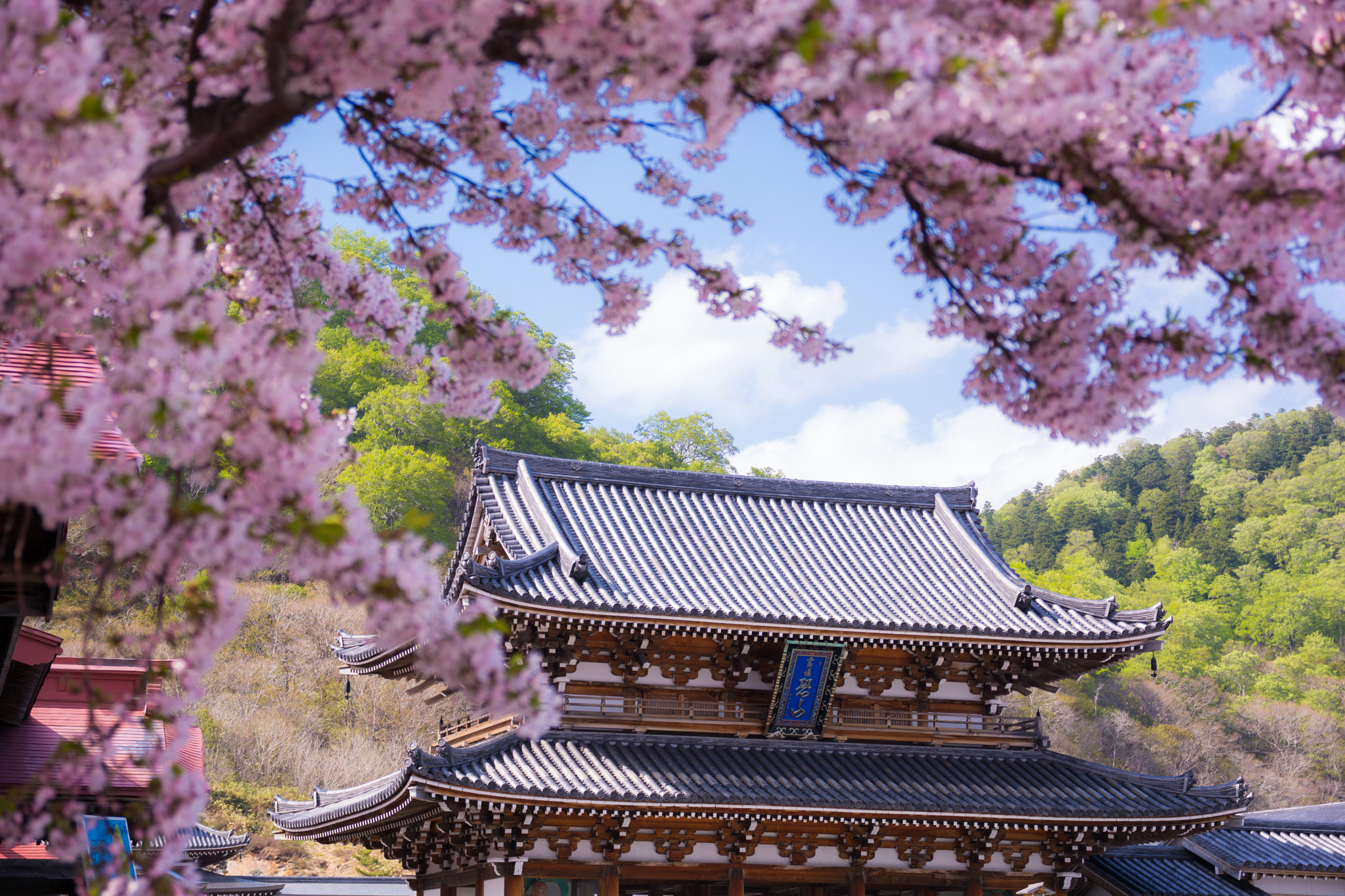 Nikon D7100 + Sigma 17-70mm F2.8-4 DC Macro OS HSM | C sample photo. The osorezan's spring photography