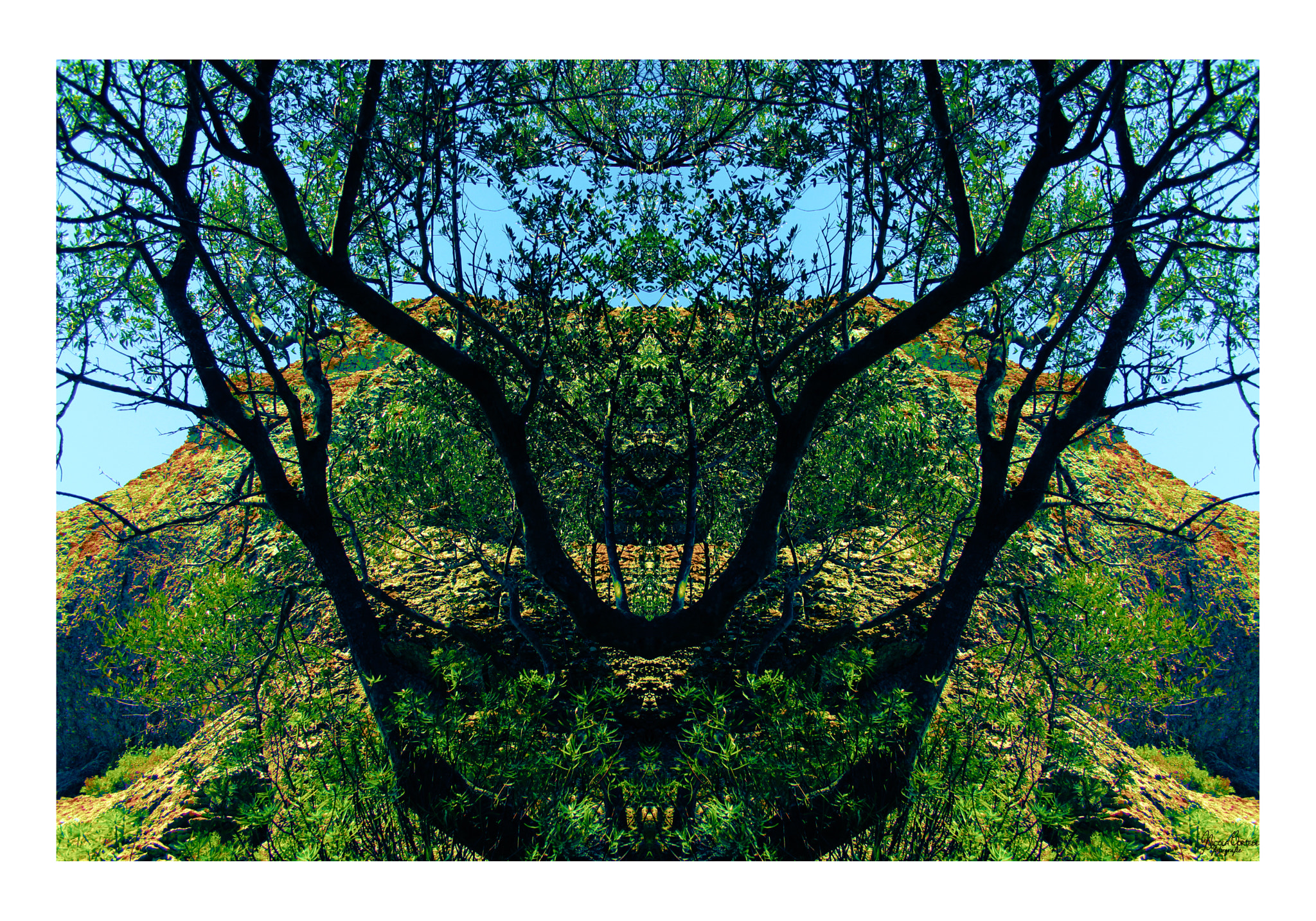 Canon EF-S 18-55mm F3.5-5.6 sample photo. Green evil man with nazi mustache at the end of cable way through trees. photography
