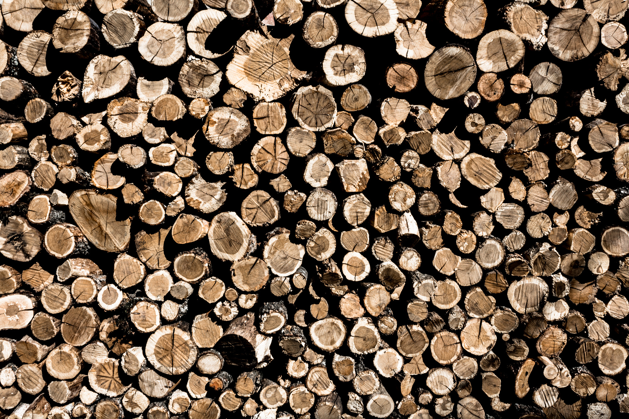 Canon EF-S 18-55mm F3.5-5.6 sample photo. Wood photography