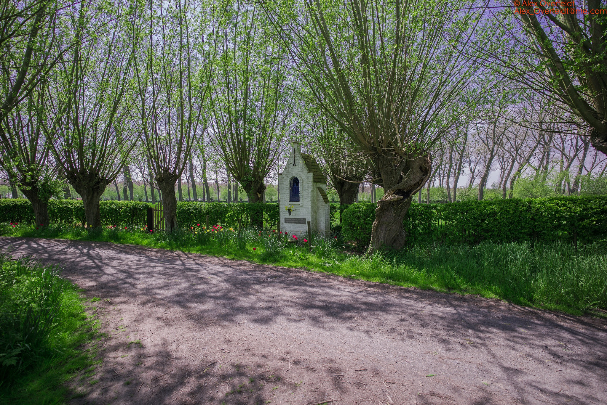 Leica Super-Elmar-M 18mm F3.8 ASPH sample photo. Bruges countryside : walking in the oostkerke whereabouts photography