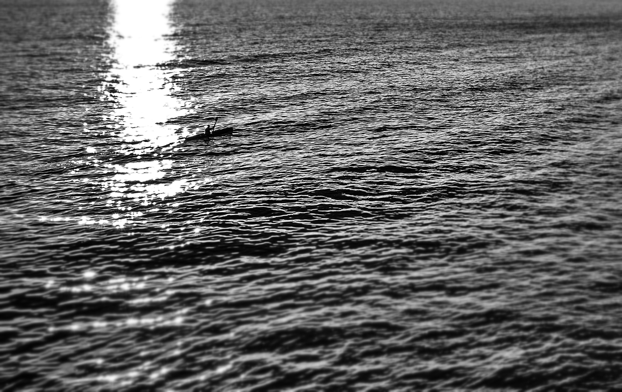 Leica Super-Elmar-M 18mm F3.8 ASPH sample photo. Lonely rower photography