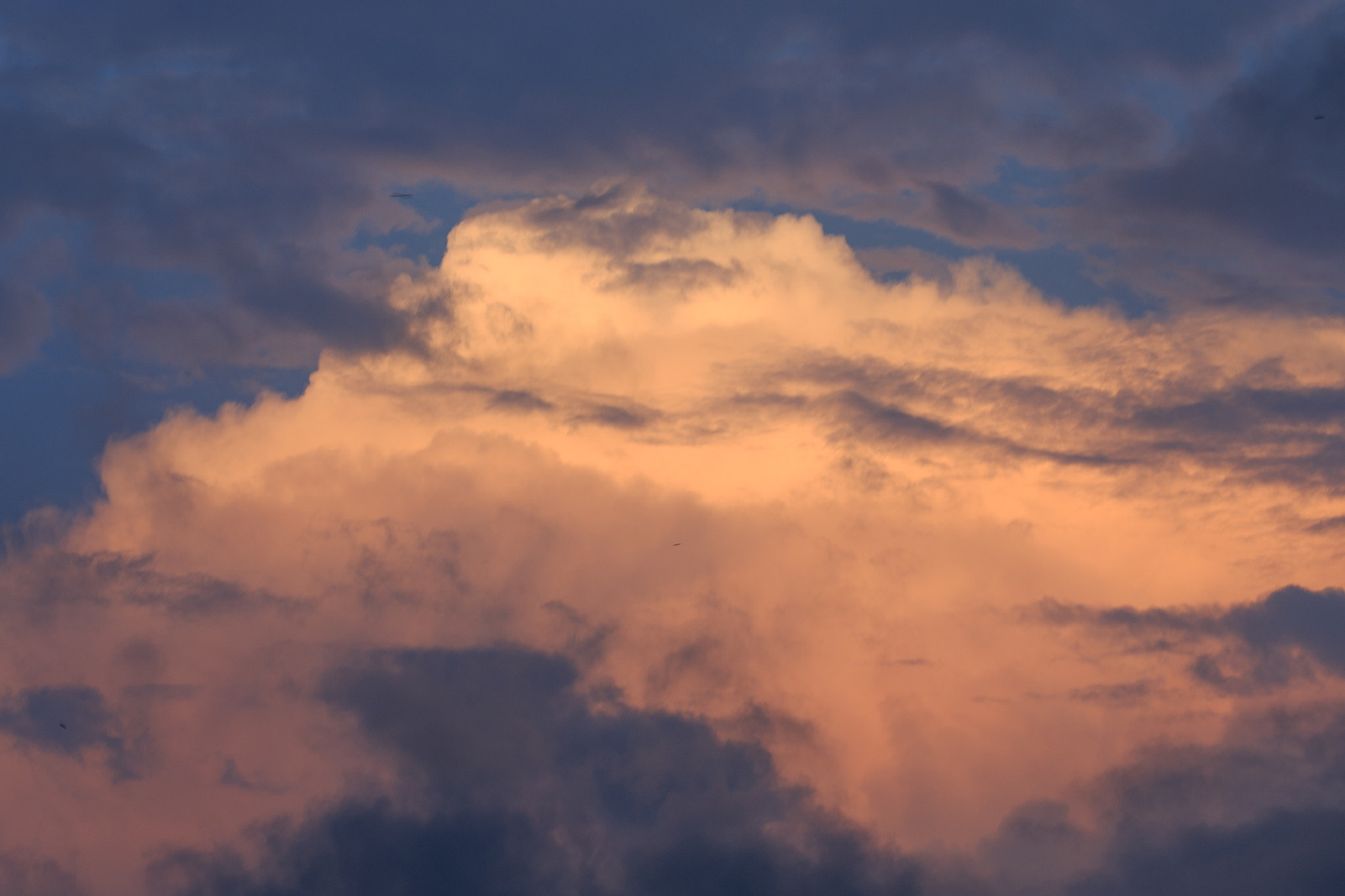 Canon EOS-1D X + Canon EF 200mm F2L IS USM sample photo