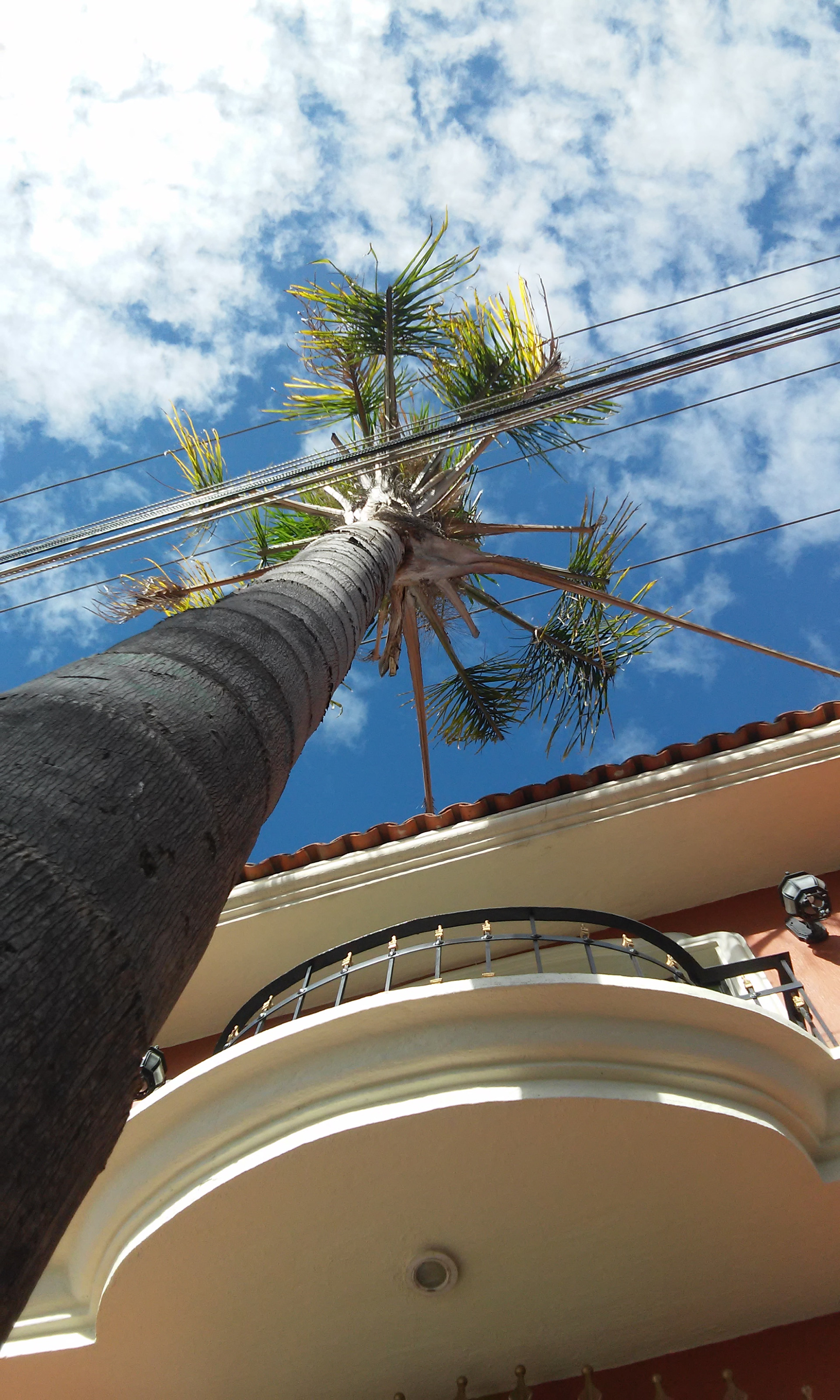 LG L70 sample photo. 20150506_095614.jpg photography