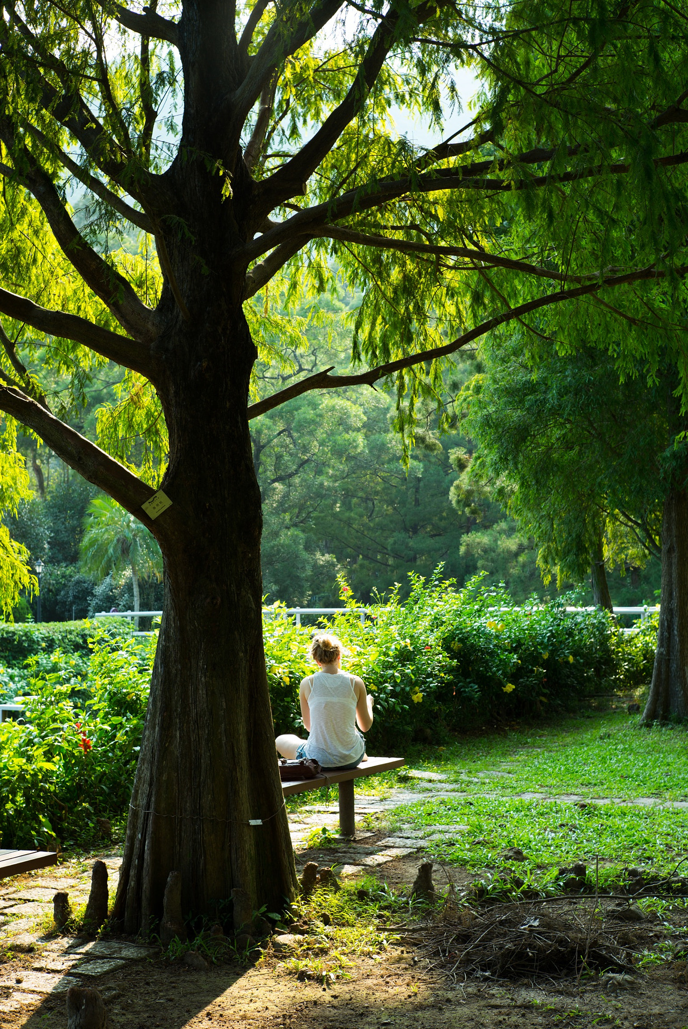 Summilux-M 1:1.4/50 sample photo