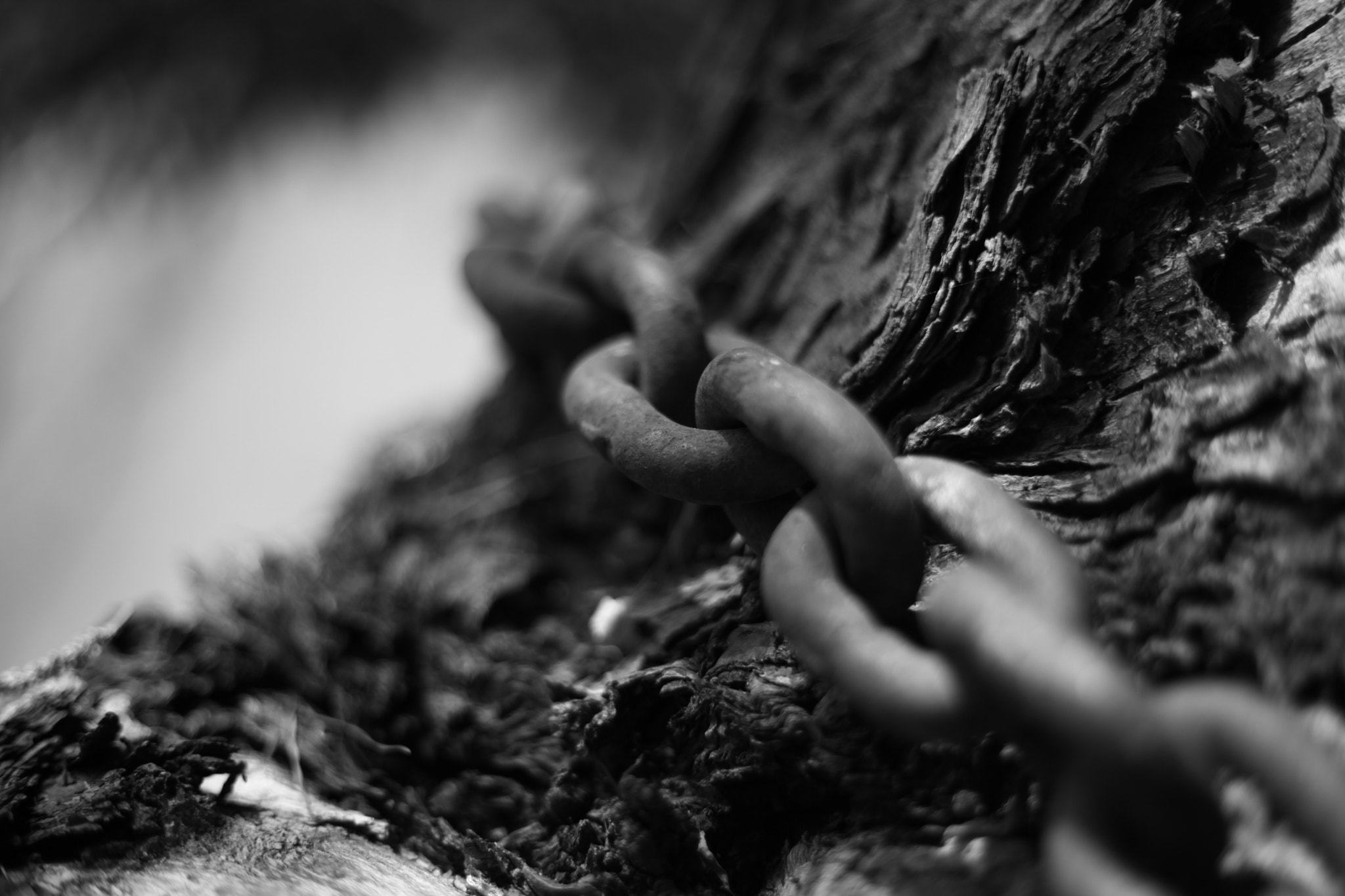 Canon EF 50mm f/1.8 sample photo. Prisionero photography
