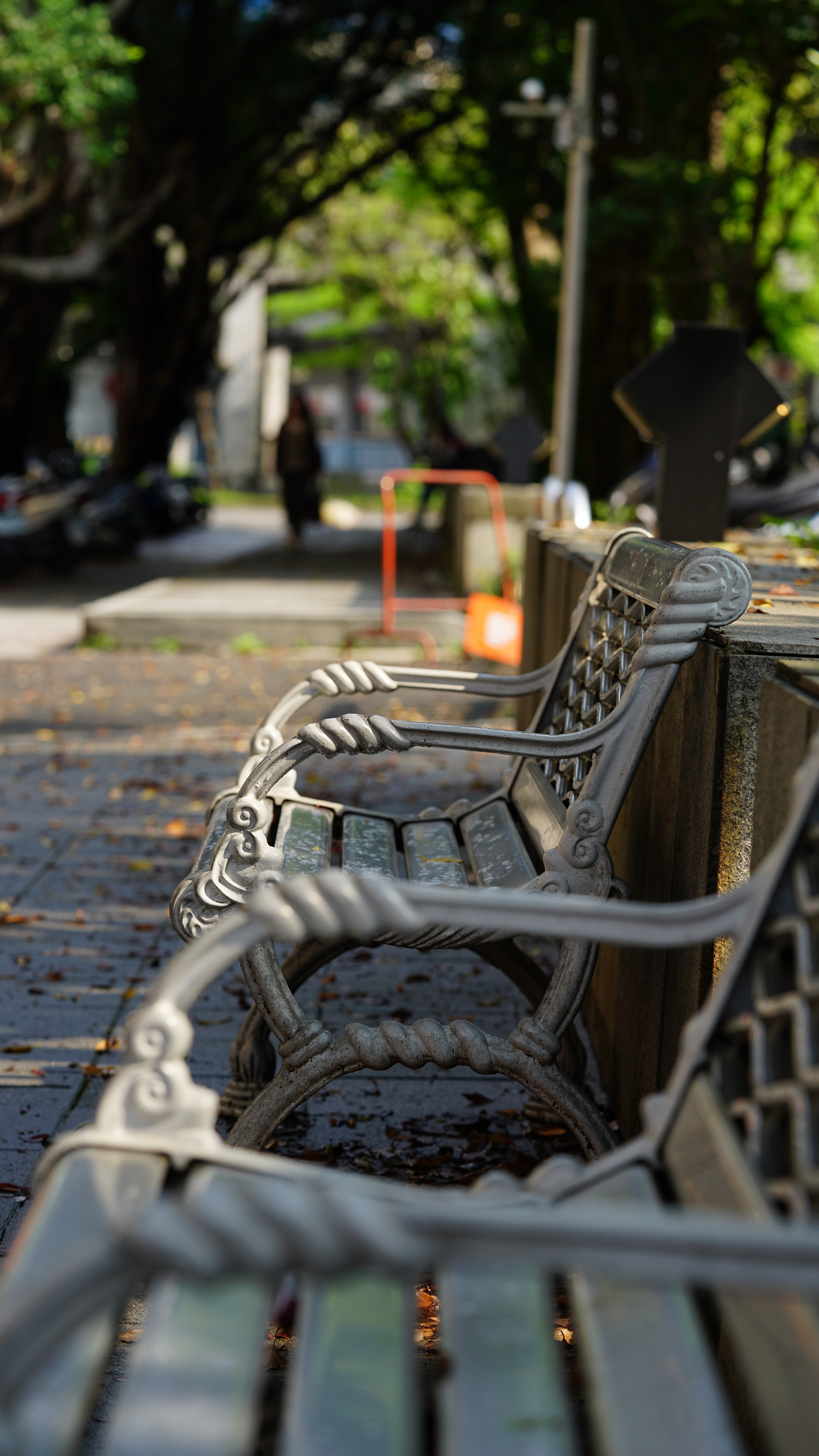 Sony a7R II + Sony FE 90mm F2.8 Macro G OSS sample photo. In the morning photography