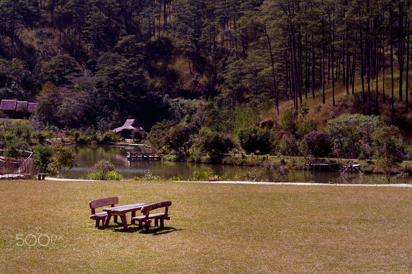 Canon EOS 1000D (EOS Digital Rebel XS / EOS Kiss F) + Canon EF 50mm F1.8 II sample photo. [nature]_dalat_cu lan village photography