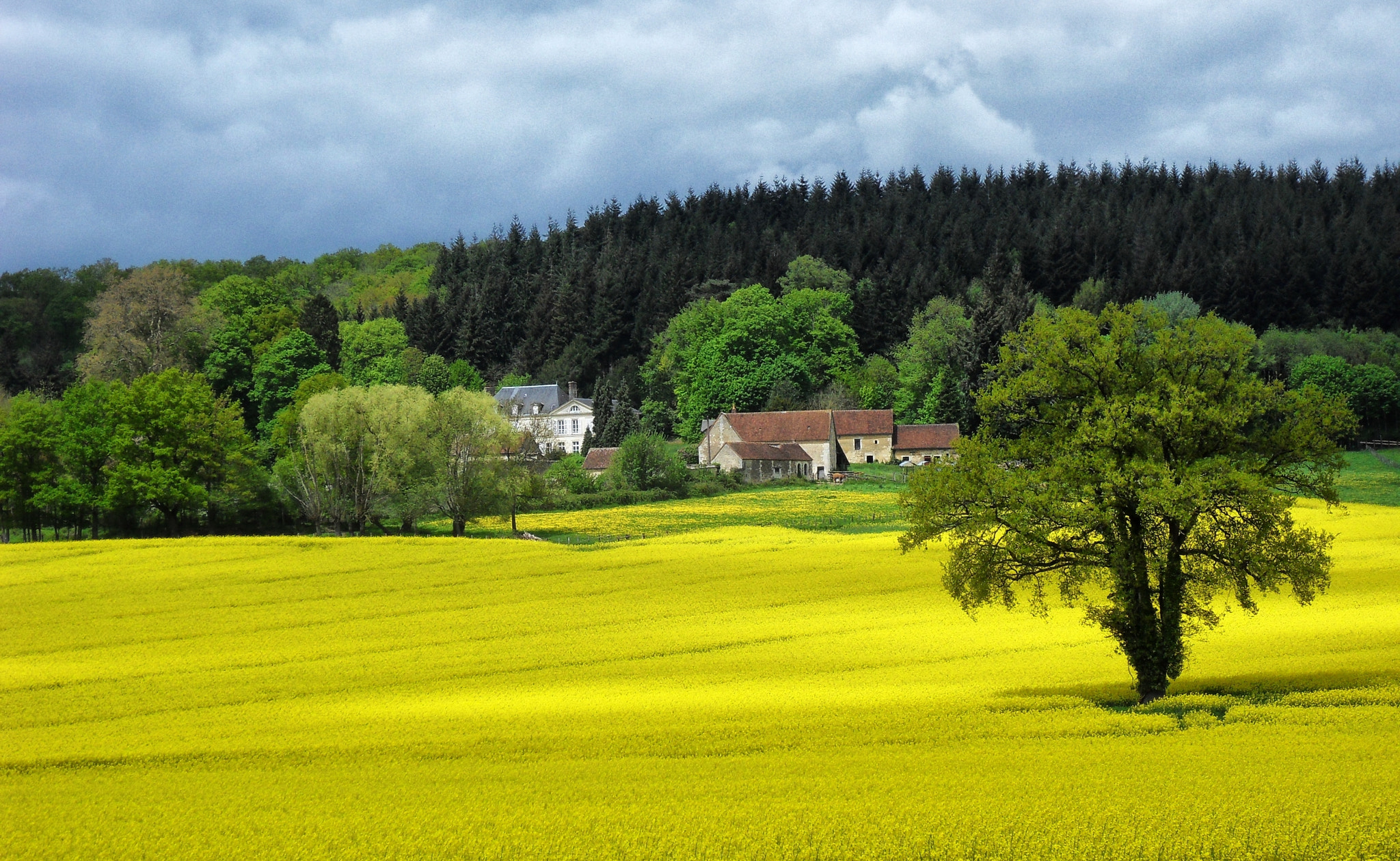 Samsung WB500, WB510 / VLUU WB500 /  HZ10W sample photo. Les couleurs du printemps... photography