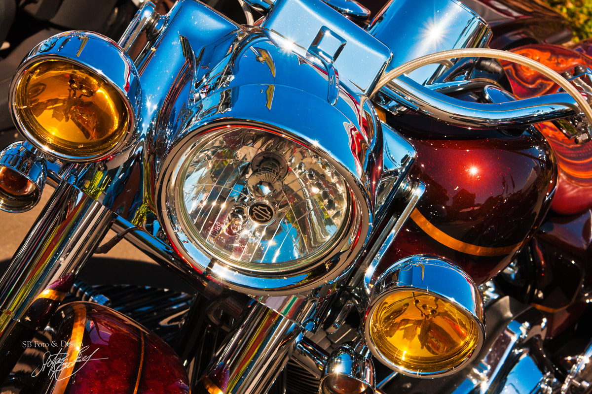 Canon EOS 40D sample photo. Harley details ii photography
