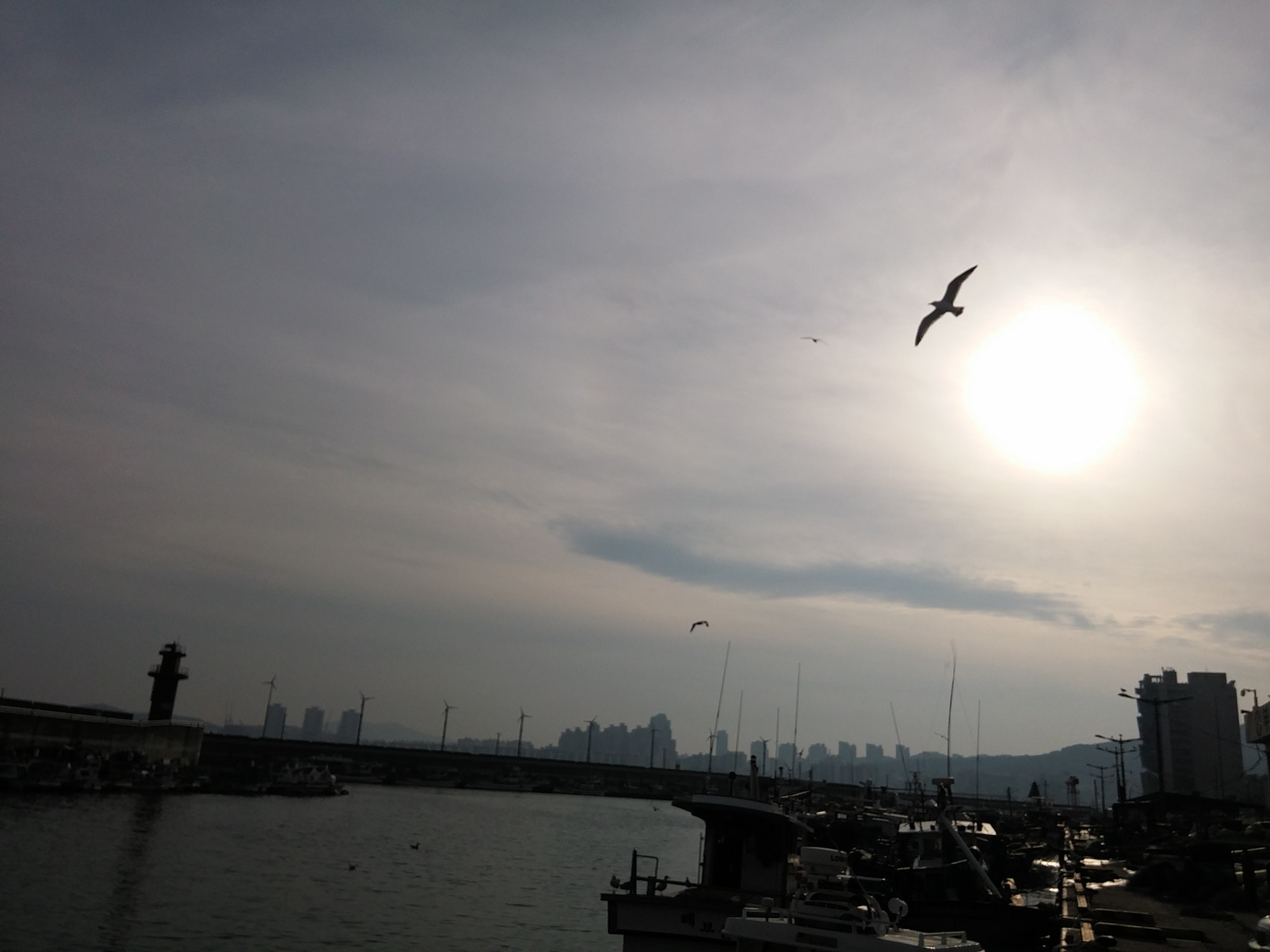 LG G3 CAT.6 sample photo