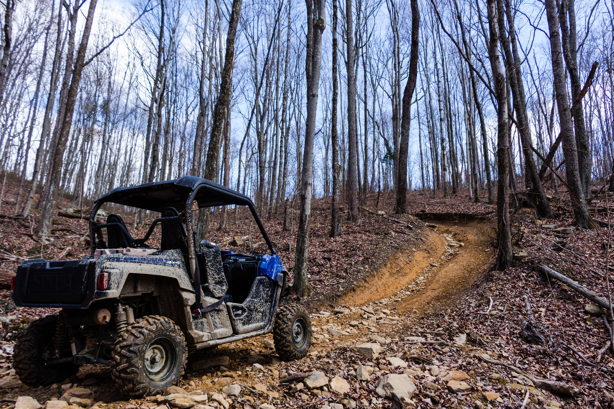 Canon EF-S 18-135mm F3.5-5.6 IS STM sample photo. Windrock park photography