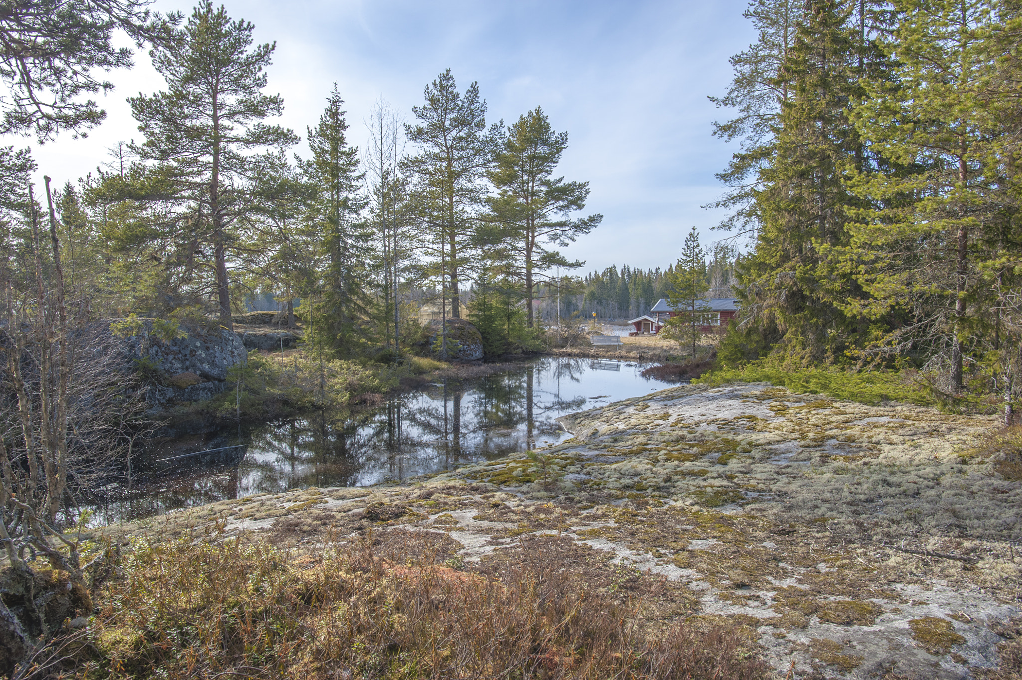 Nikon D700 + Nikon AF-S Nikkor 20mm F1.8G ED sample photo. Forest umea hdr photography