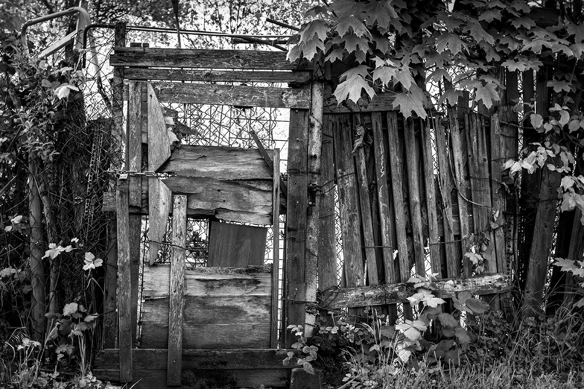 Sigma 30mm F1.4 EX DC HSM sample photo. Closed and forgotten photography