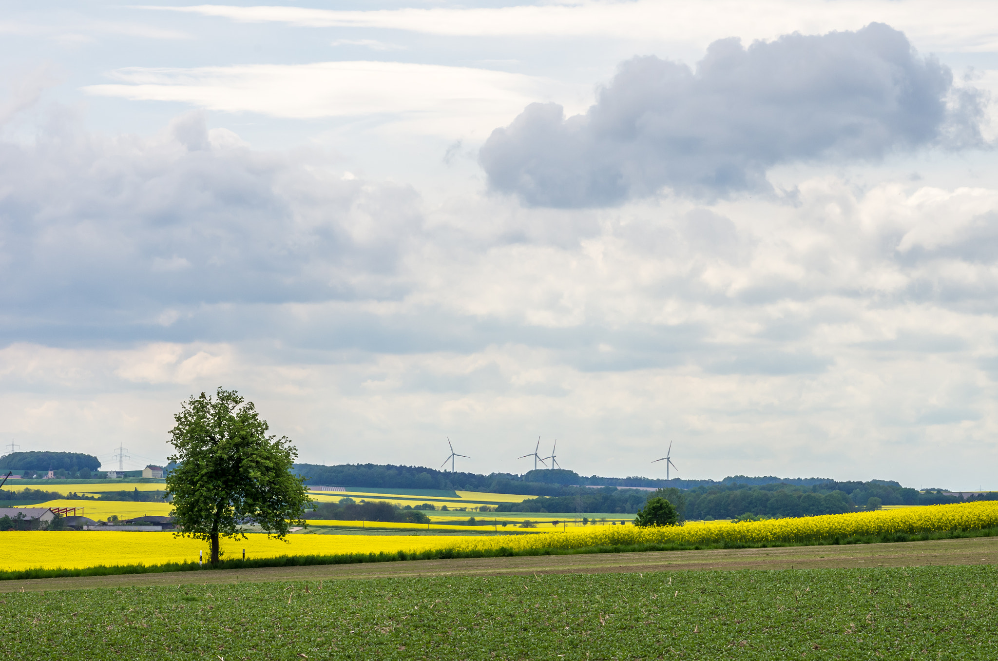 Pentax smc DA* 60-250mm F4.0 ED (IF) SDM sample photo. Landscape near dresden photography