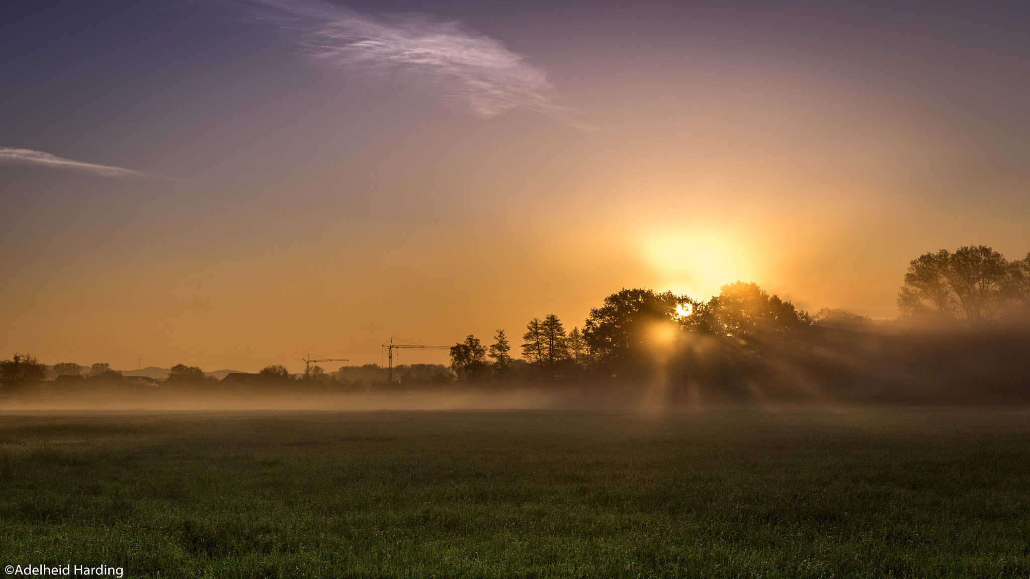 Canon EF 24-85mm F3.5-4.5 USM sample photo. Spring morning photography