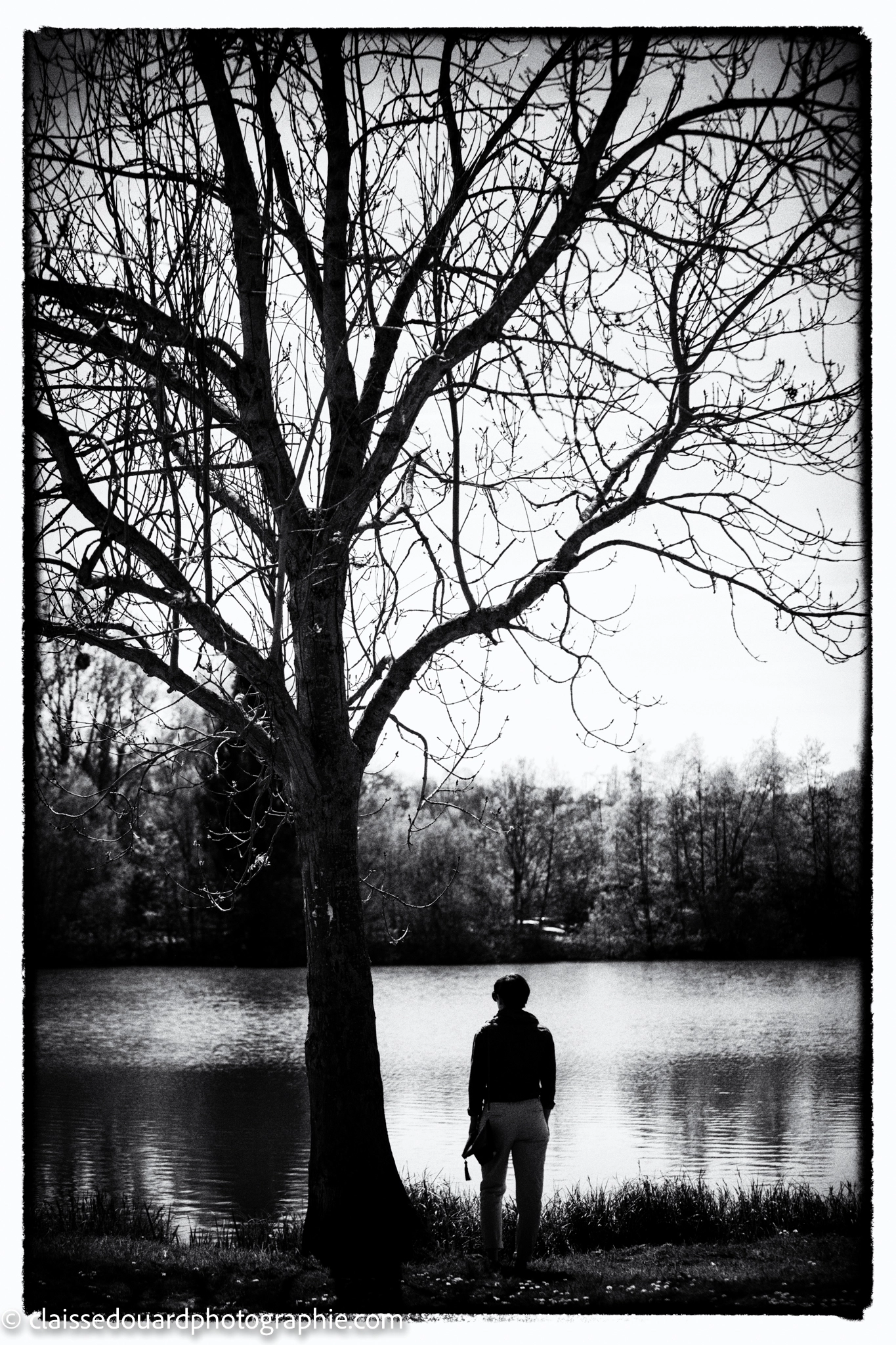 Canon EOS 5DS sample photo. Sous l'arbre photography