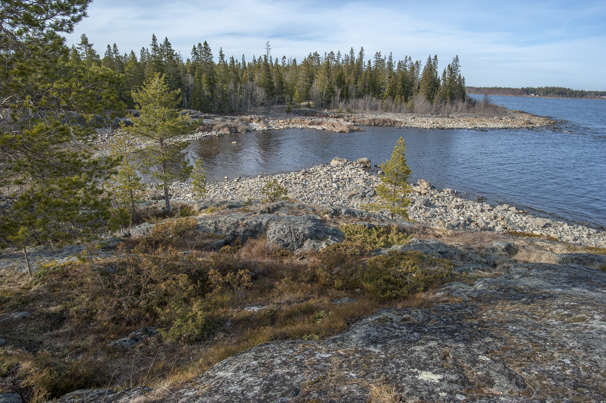 Nikon D700 + Nikon AF-S Nikkor 20mm F1.8G ED sample photo. Umea forest photography