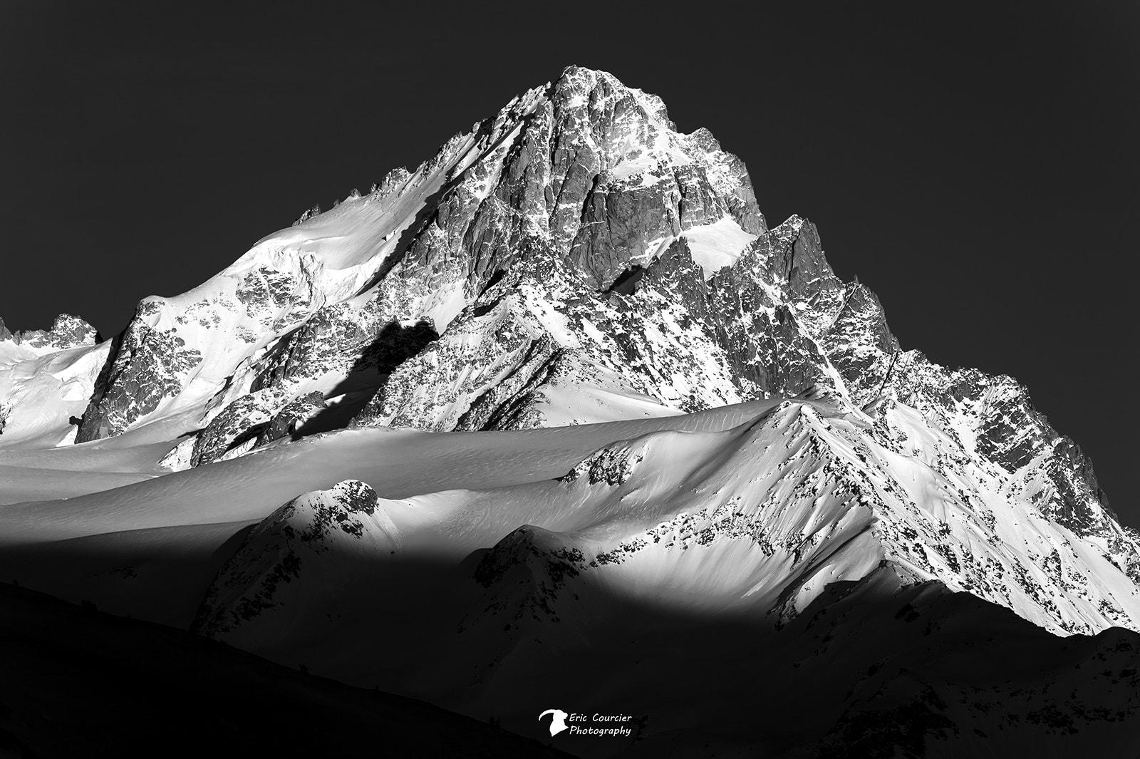 Nikon AF-S Nikkor 200-500mm F5.6E ED VR sample photo. Chardonnet photography