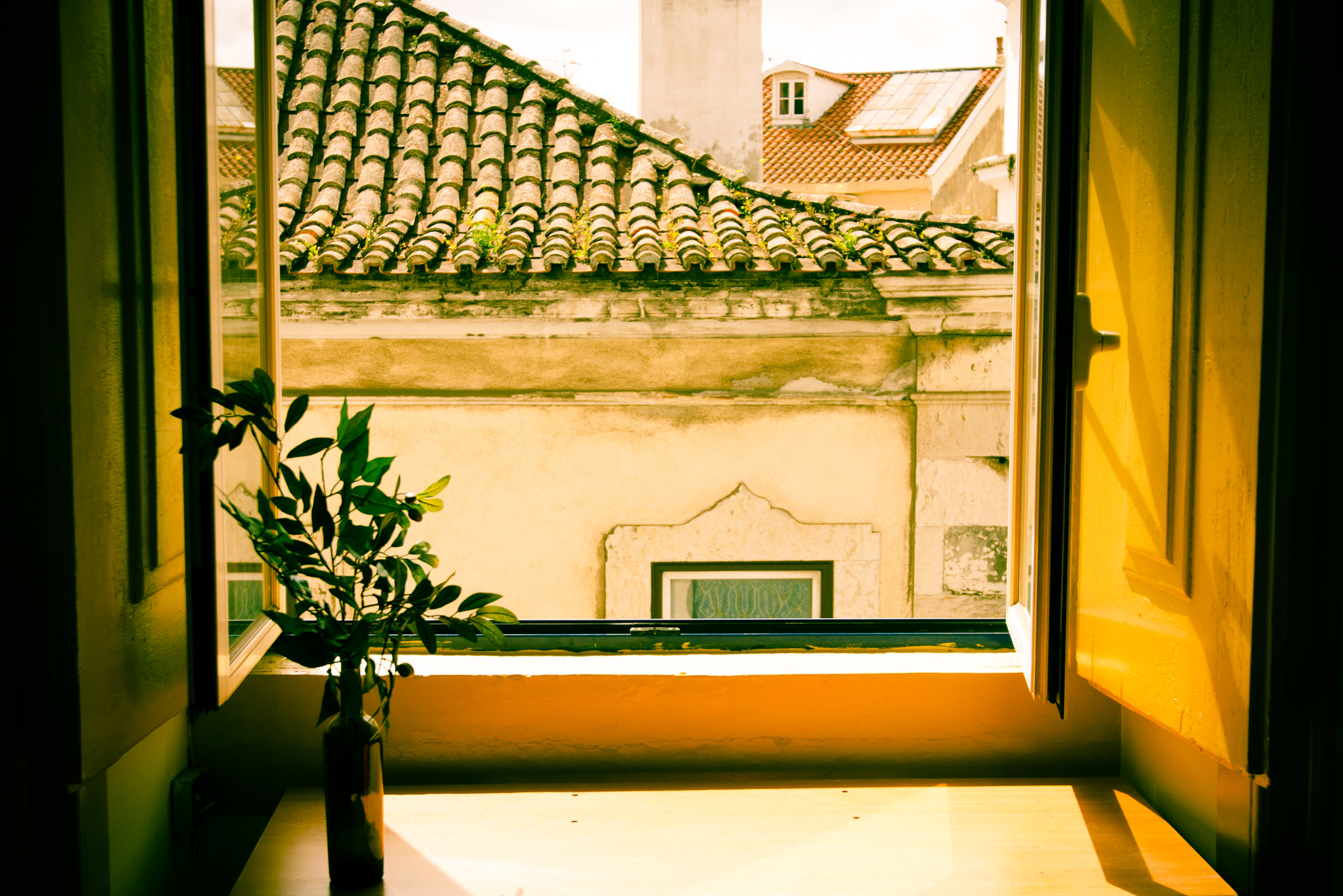 Canon EOS 40D sample photo. Yellow window photography