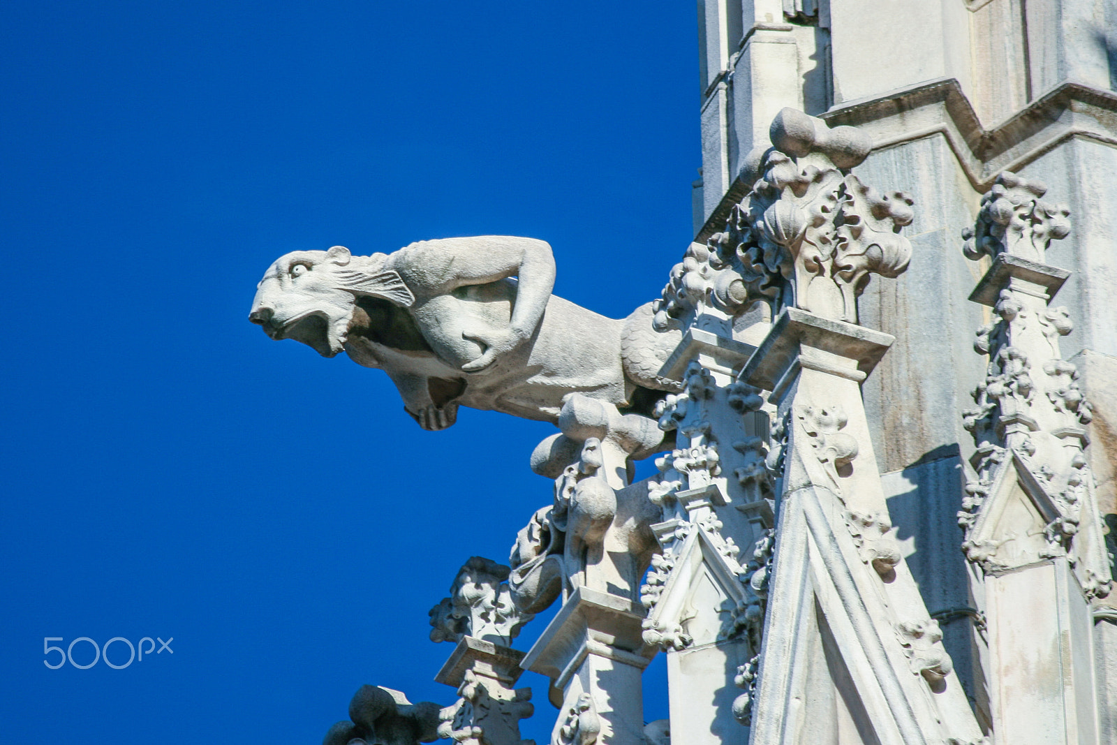 Canon EOS 400D (EOS Digital Rebel XTi / EOS Kiss Digital X) sample photo. Gargoyle of duomo photography