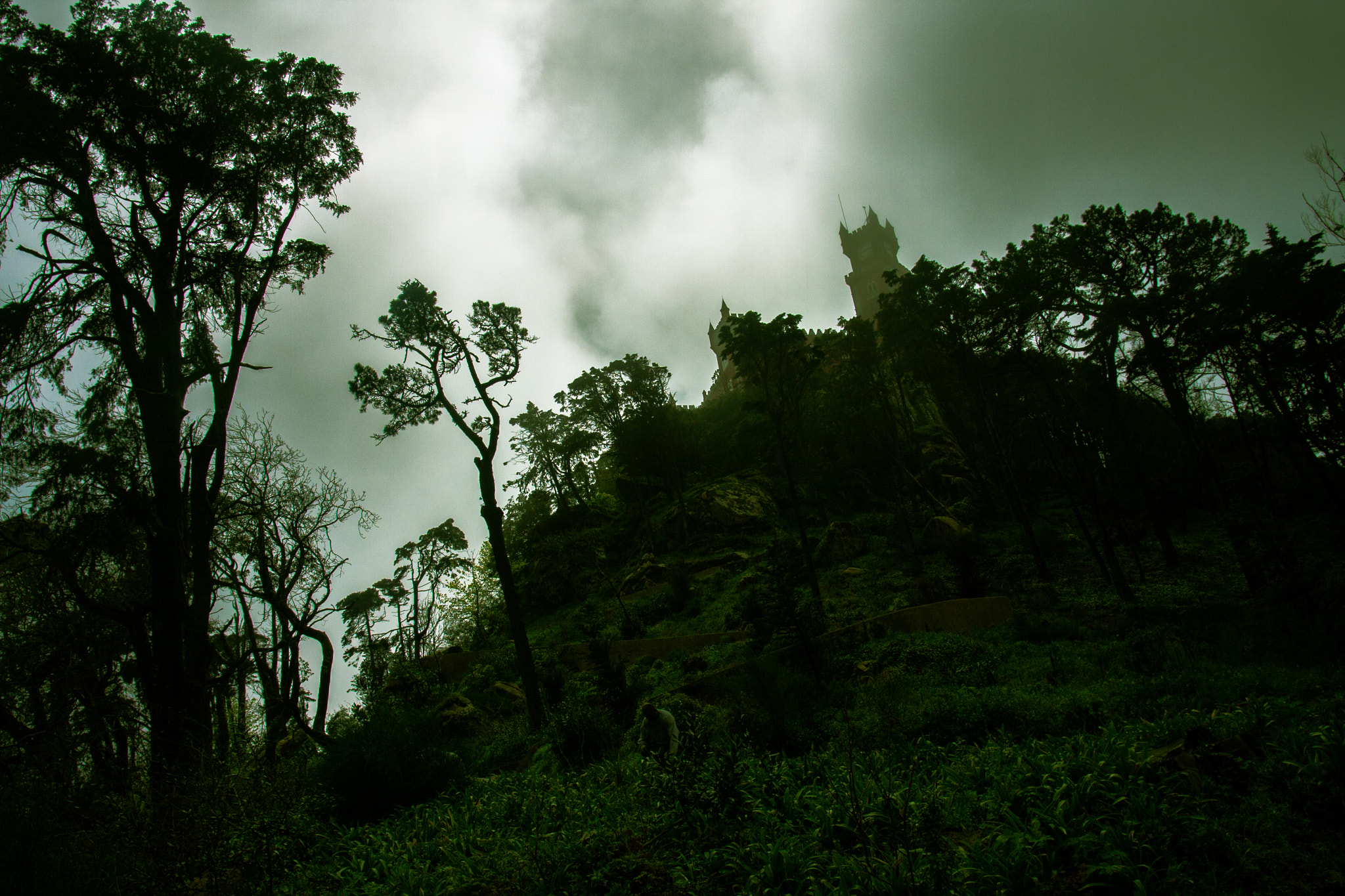 Canon EOS 40D sample photo. Misty photography