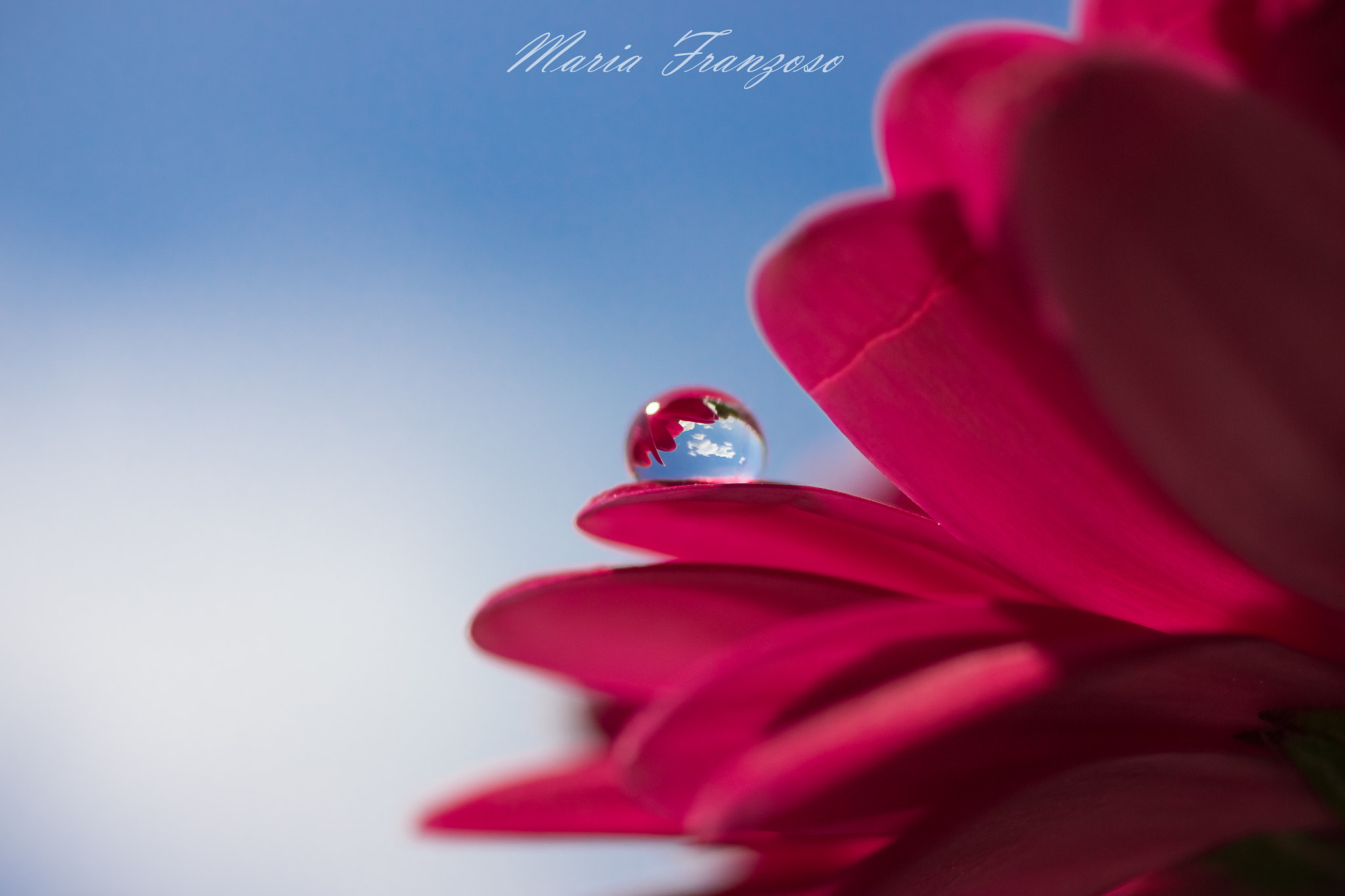Canon EF 50mm F2.5 Macro sample photo. Il cielo in una....goccia photography