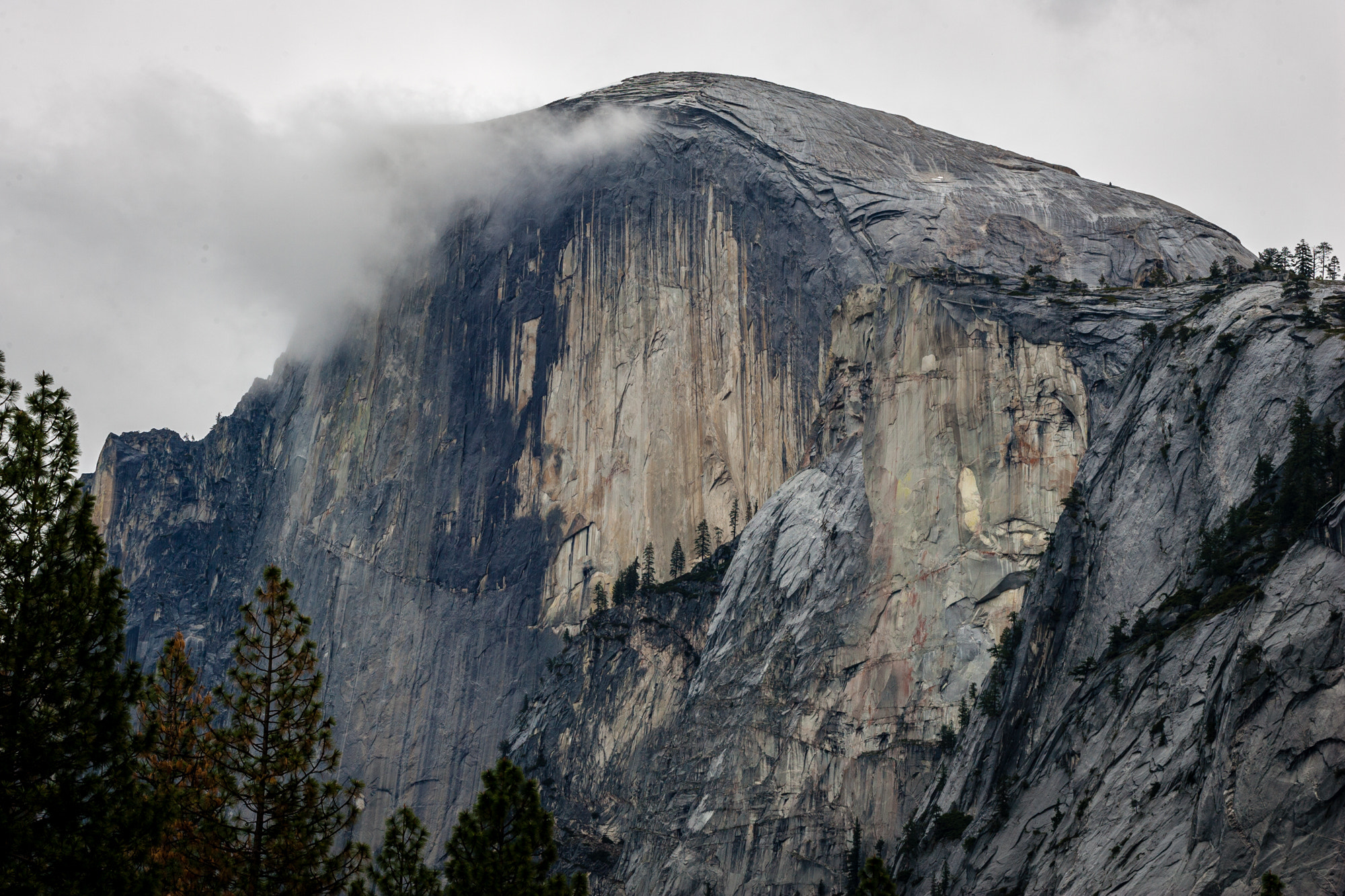 Canon EOS-1D Mark II sample photo. Half dome yosemite vally  floor photography