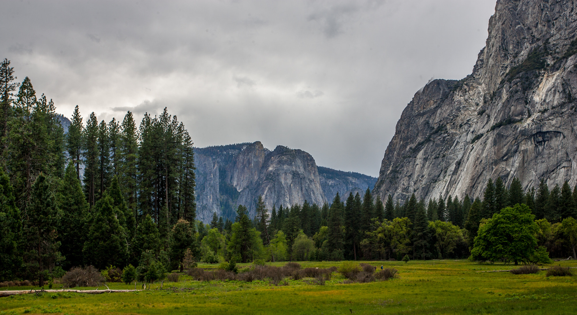 Canon EOS-1D Mark II sample photo. Yosemite valley floor photography