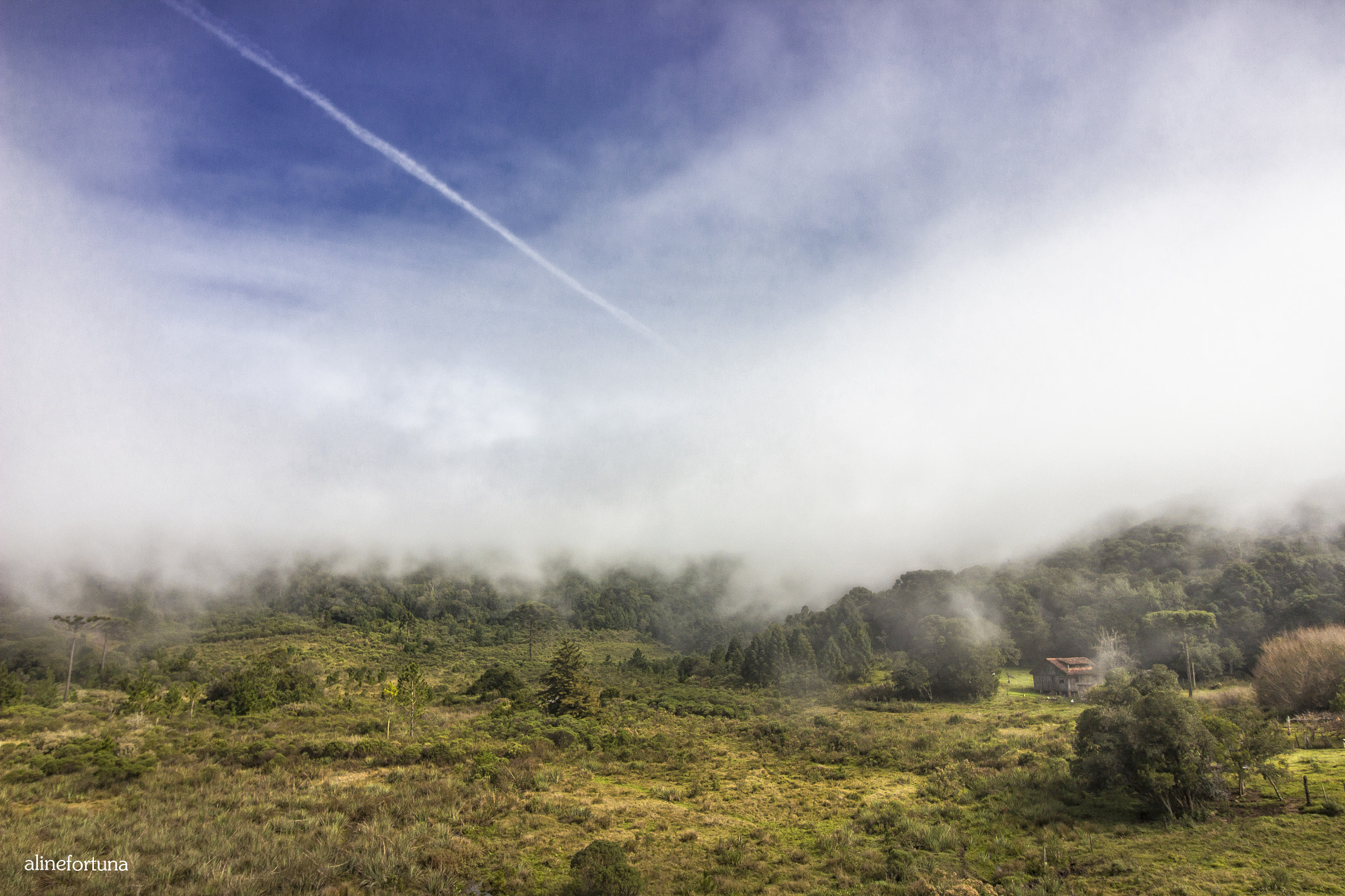 Canon EF-S 10-18mm F4.5–5.6 IS STM sample photo. E a neblina vai tomando conta photography