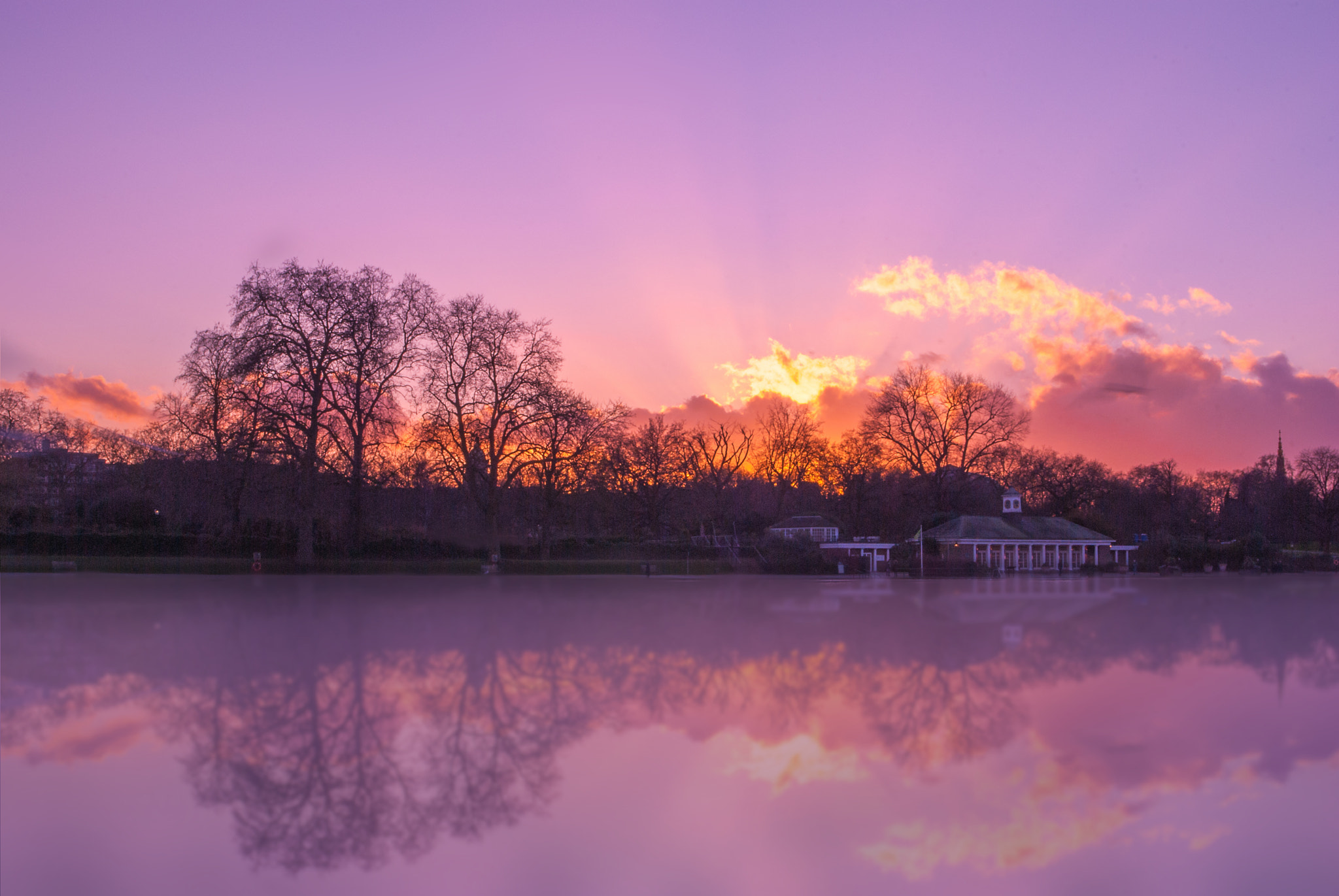 Nikon D60 sample photo. Hyde park purple photography
