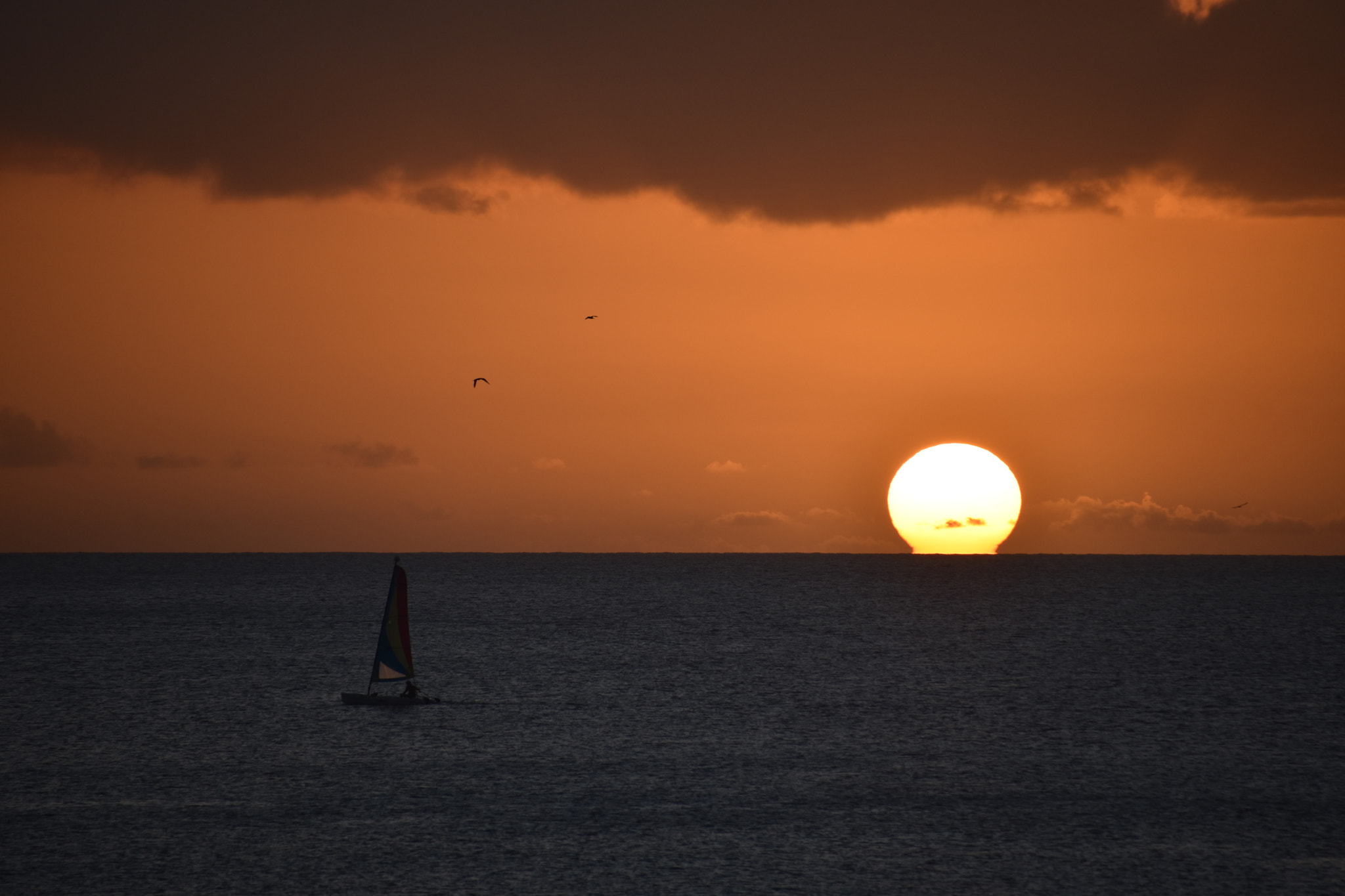 Sigma 18-250mm F3.5-6.3 DC Macro OS HSM sample photo. Barbados photography