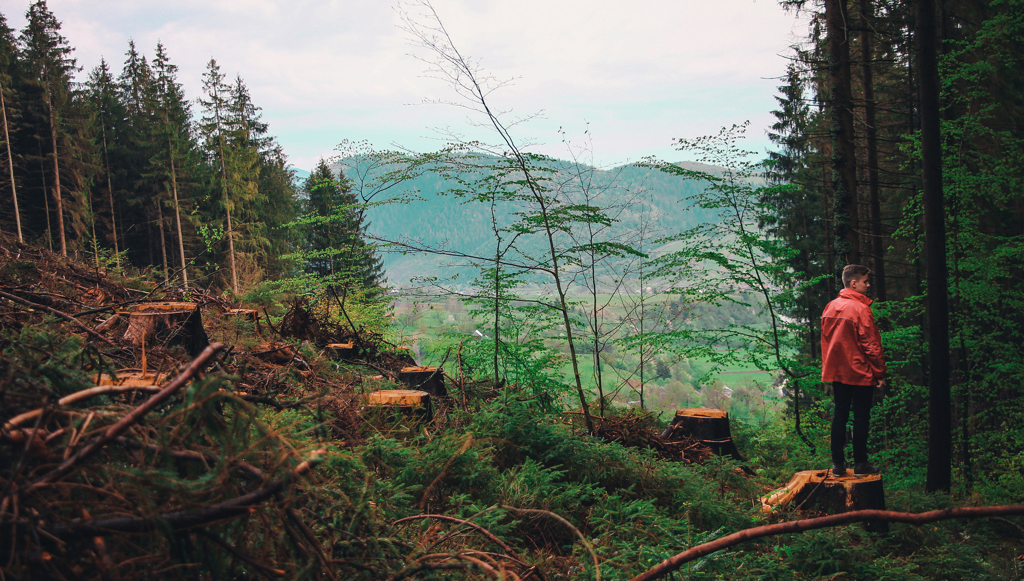 Canon EF-S 18-135mm F3.5-5.6 IS STM sample photo. Carpathian adventure photography