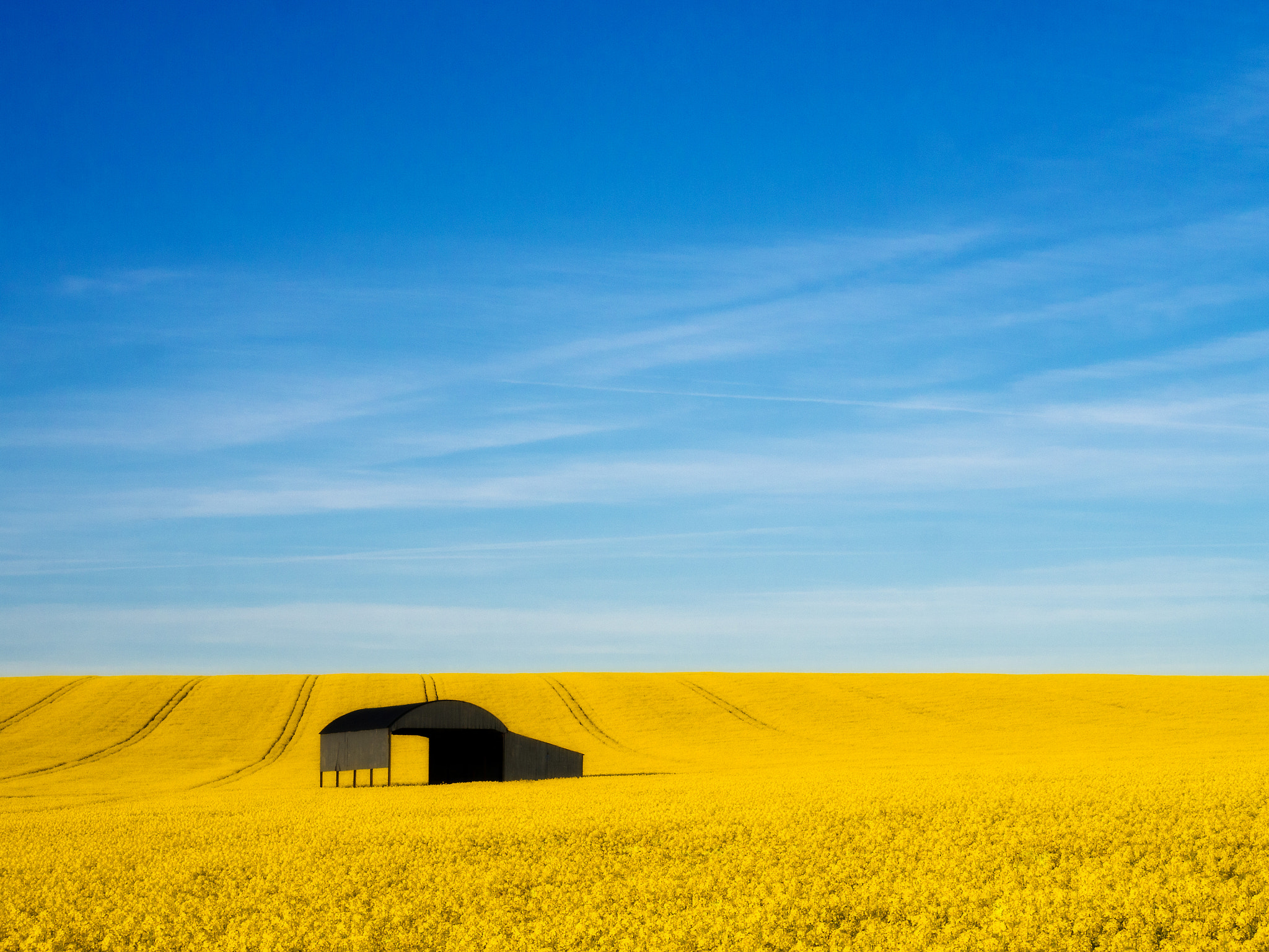 Panasonic Lumix DMC-G5 sample photo. Rape seed field on  cranbourne chase photography