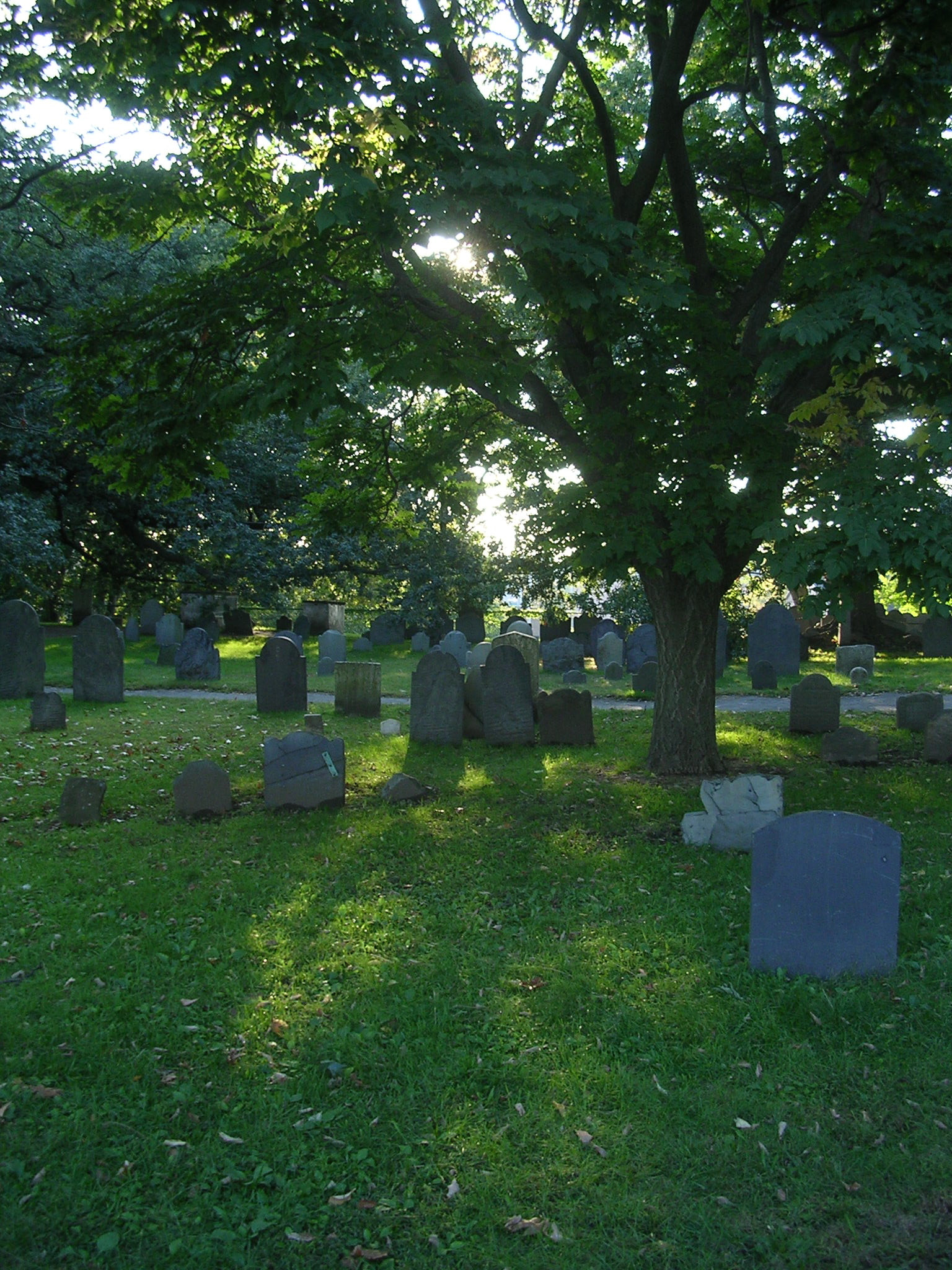 Nikon E3100 sample photo. Boston photography