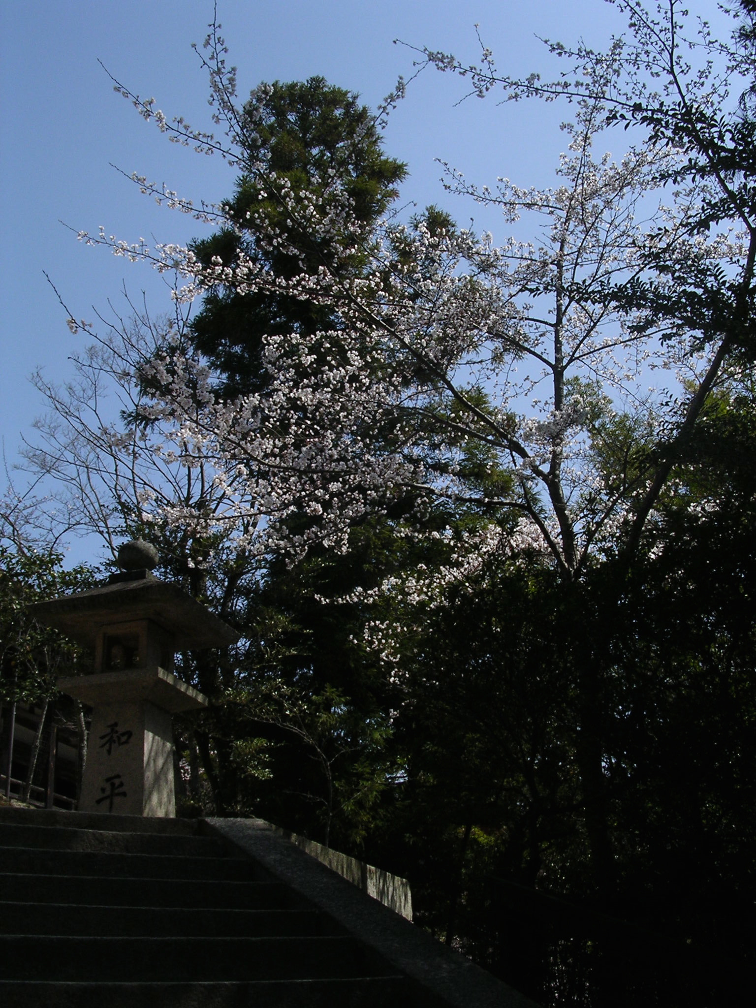 Nikon E3100 sample photo. 鹿児島の神社 shrine in kagoshima photography