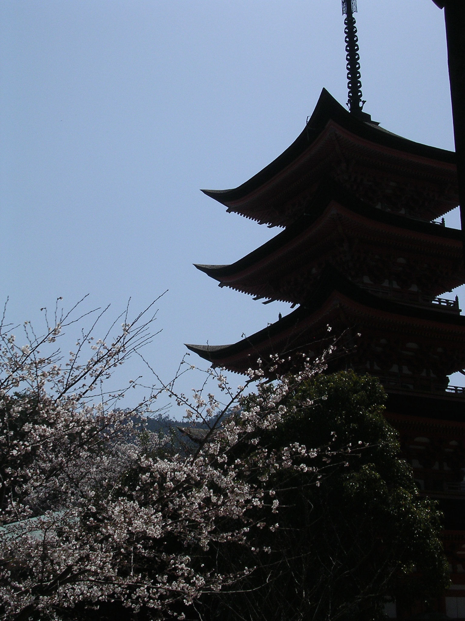 Nikon E3100 sample photo. 鹿児島の神社 shrine in kagoshima photography