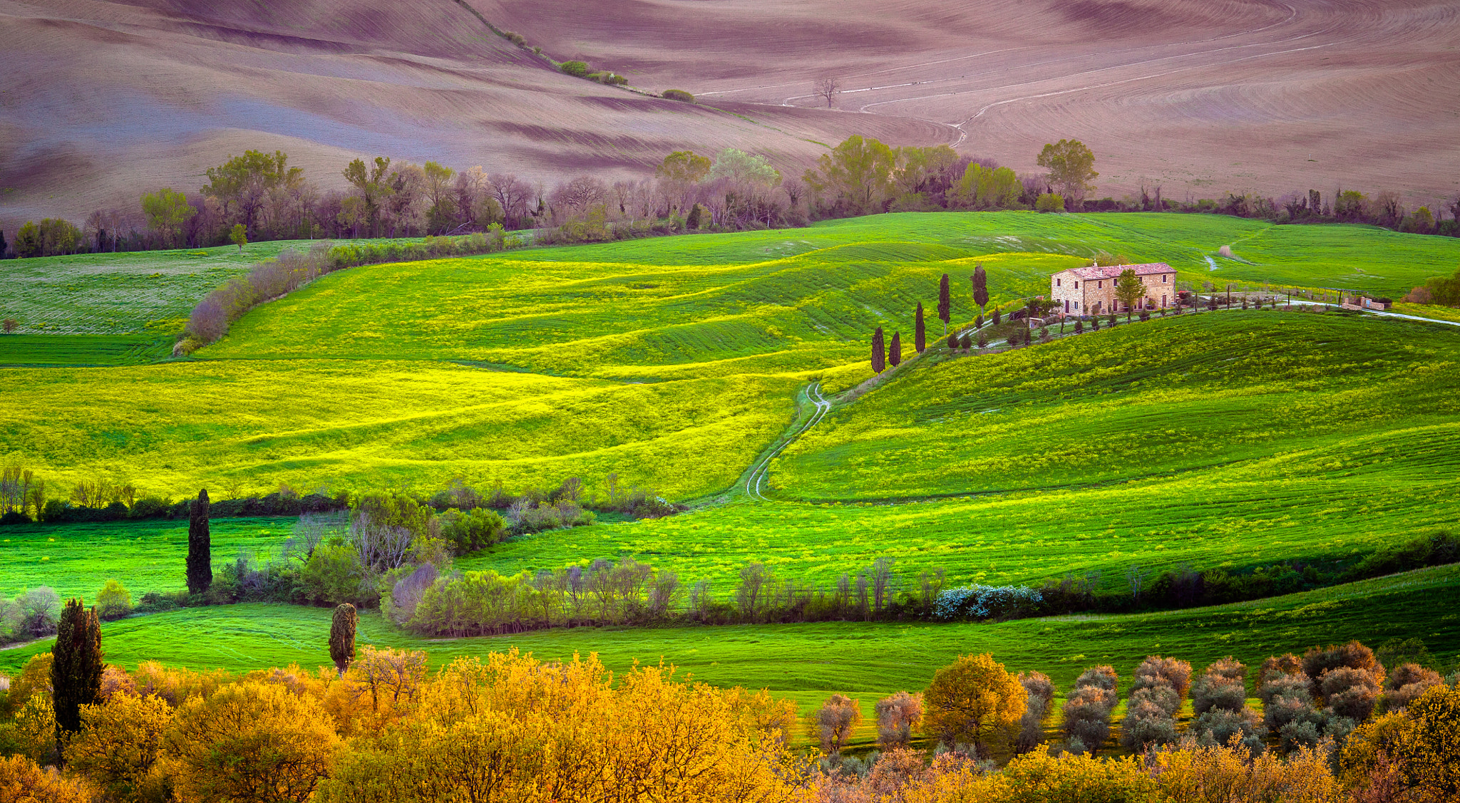 Canon EF 70-200mm F4L IS USM sample photo. Spring tuscany photography