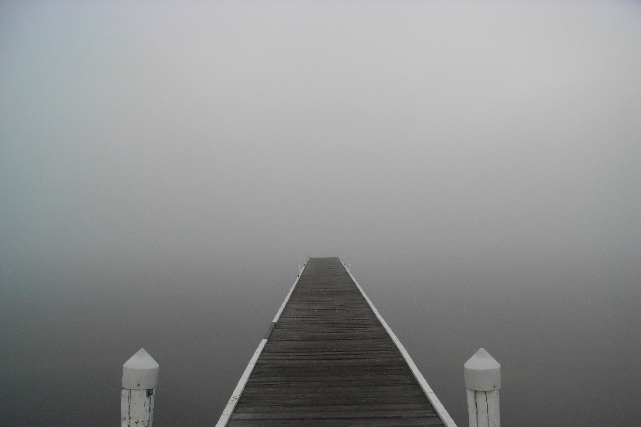 Ricoh Caplio R5 sample photo. Into the mystic photography