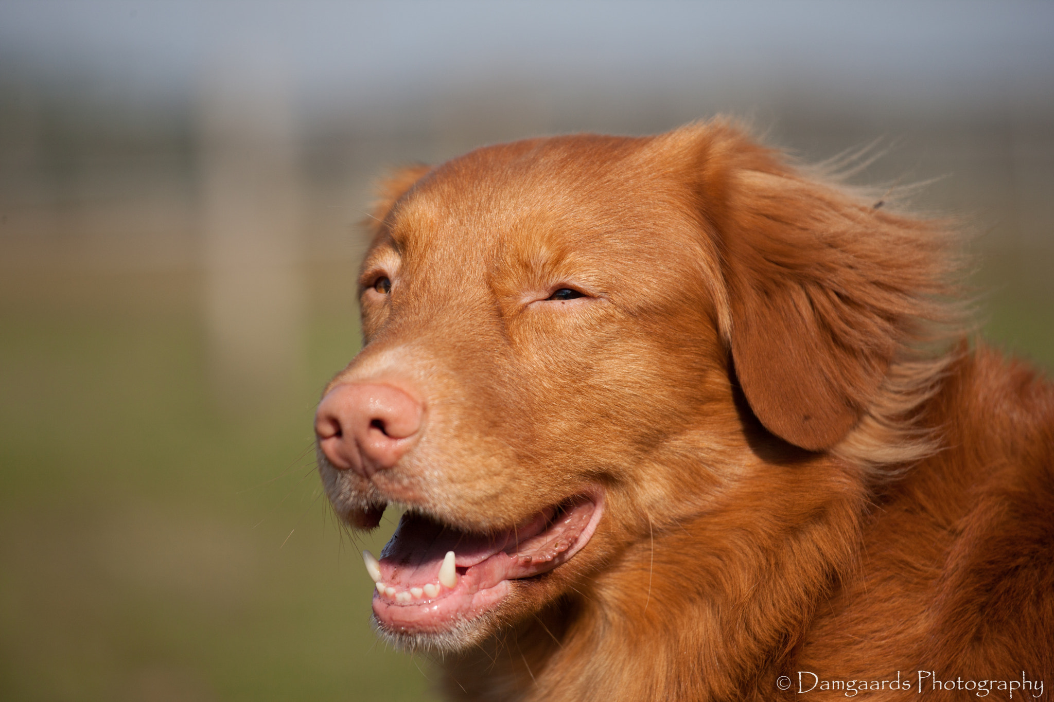 Canon EOS-1Ds Mark III sample photo. 5l0r9602.jpg photography