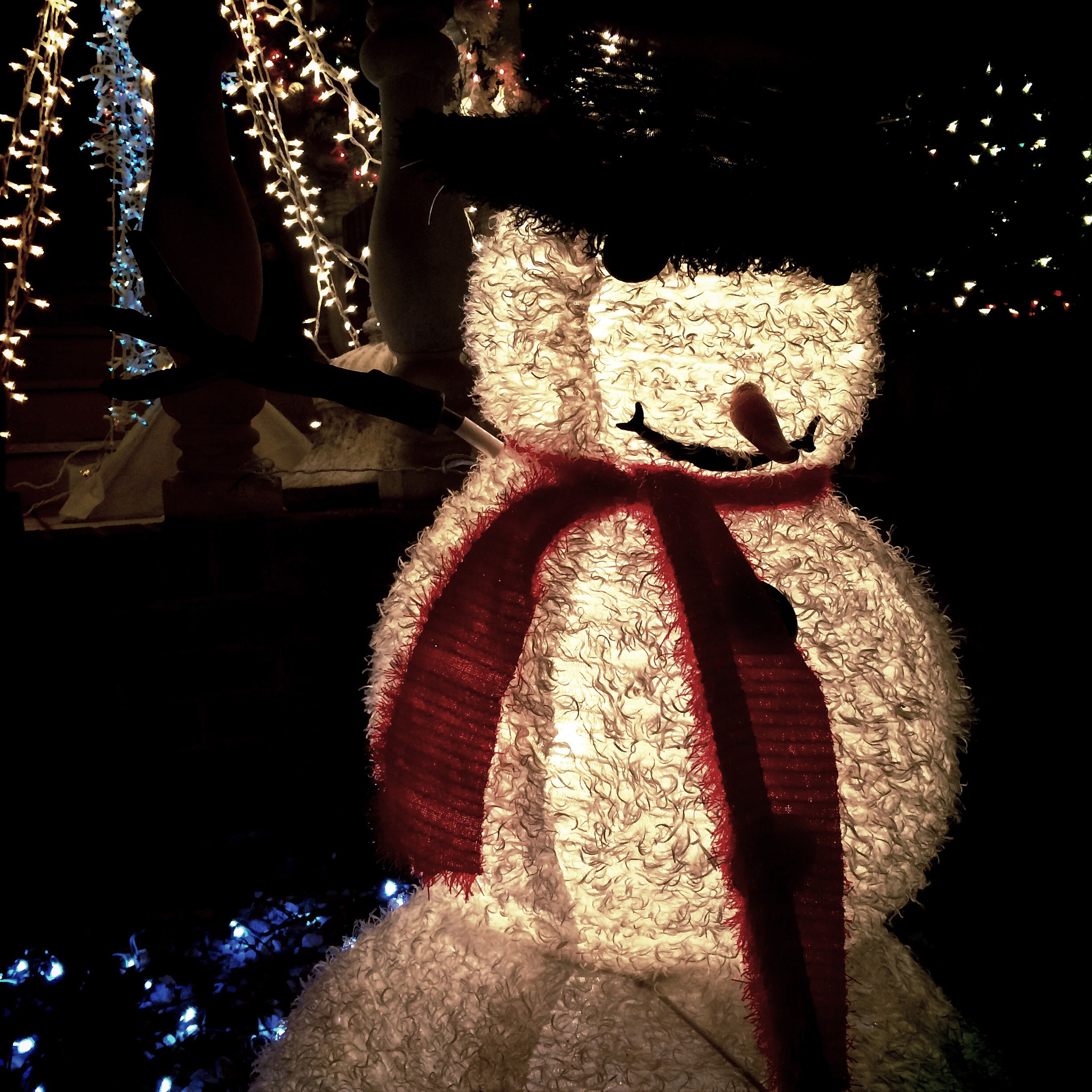 Hipstamatic 279 sample photo. Frosty at dyker heights photography