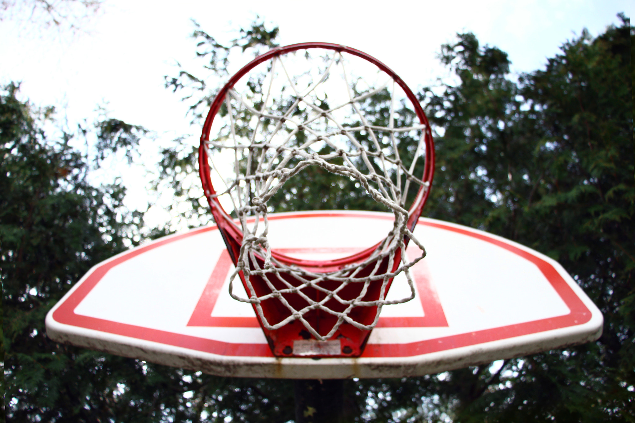Canon EF-S 18-135mm F3.5-5.6 IS STM sample photo. The ball is in your court photography