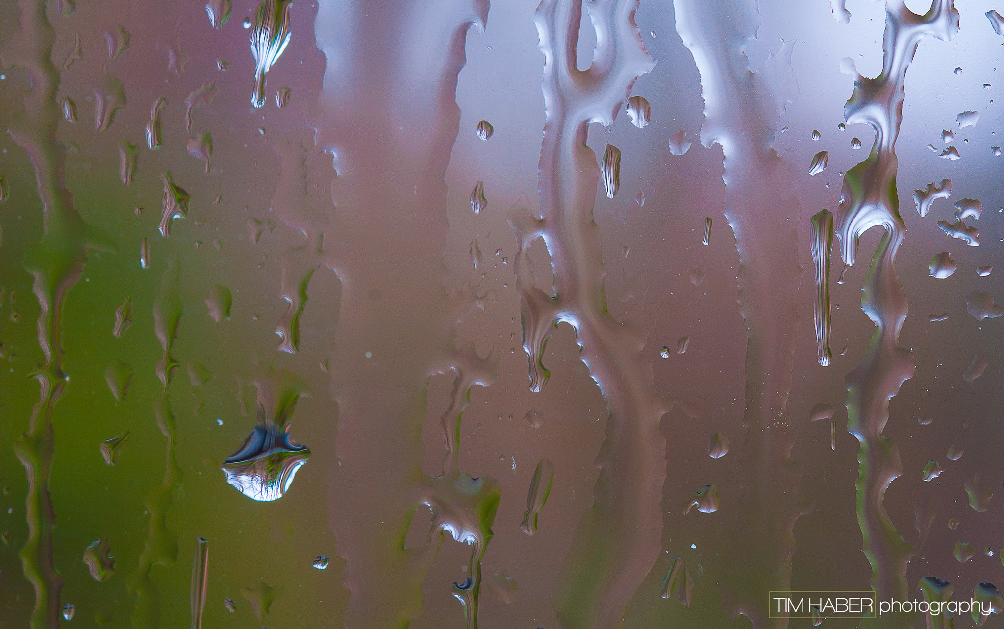 Sigma 105mm F2.8 EX DG OS HSM sample photo. Rain drips still life (2) photography