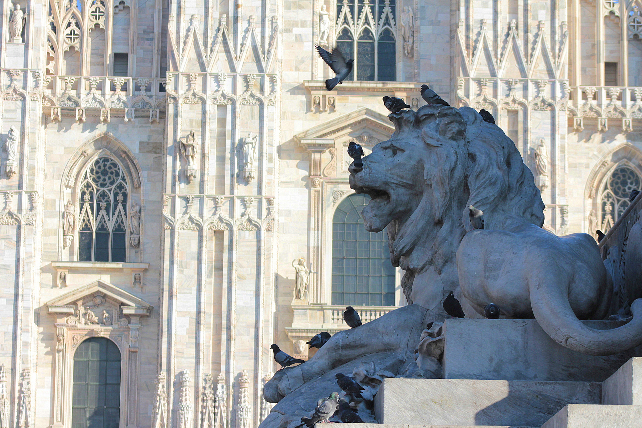 Canon EOS 550D (EOS Rebel T2i / EOS Kiss X4) sample photo. Piazza del duomo photography