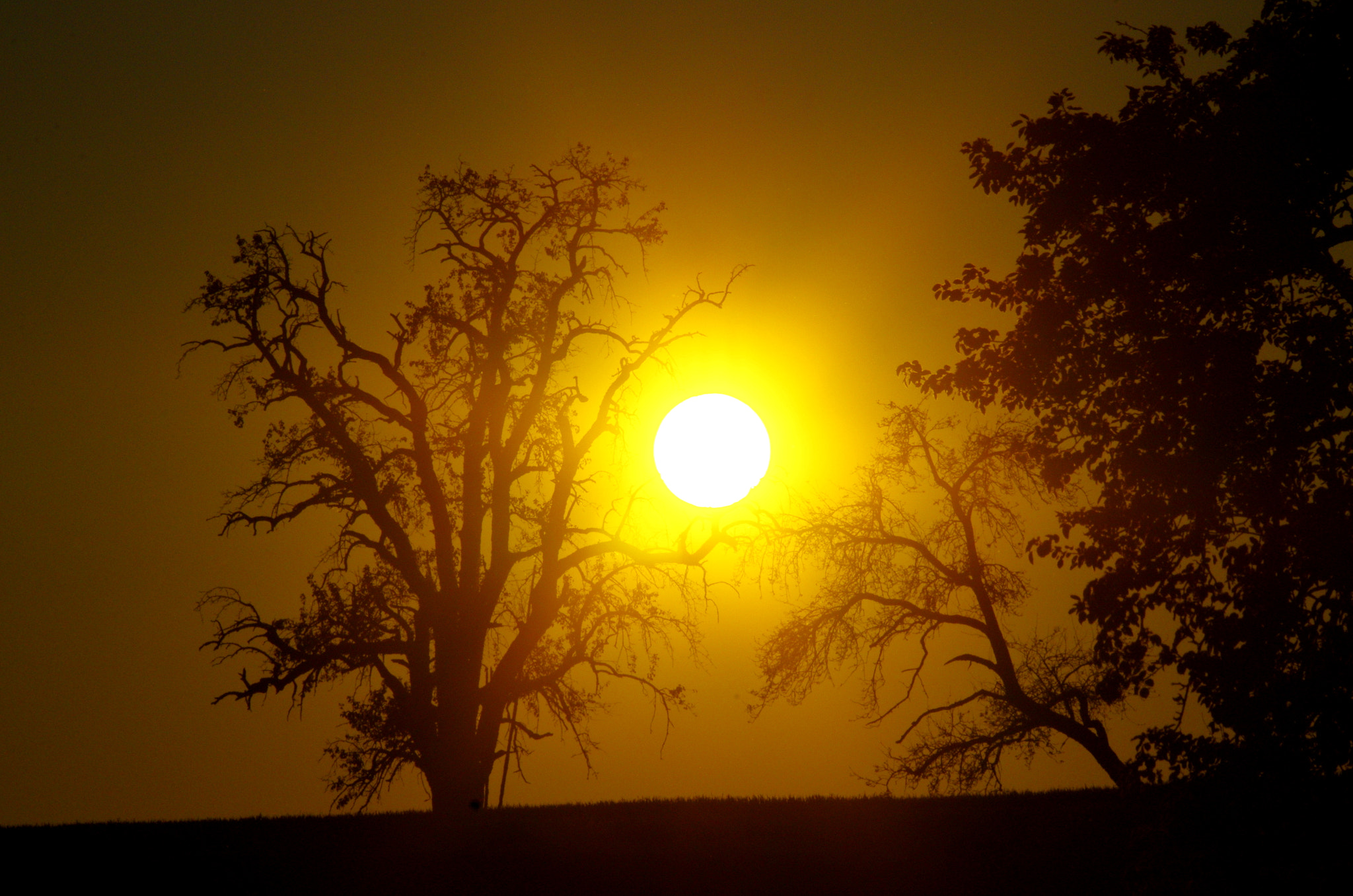 smc PENTAX-DA L 55-300mm F4-5.8 ED sample photo. The sunset has begun photography