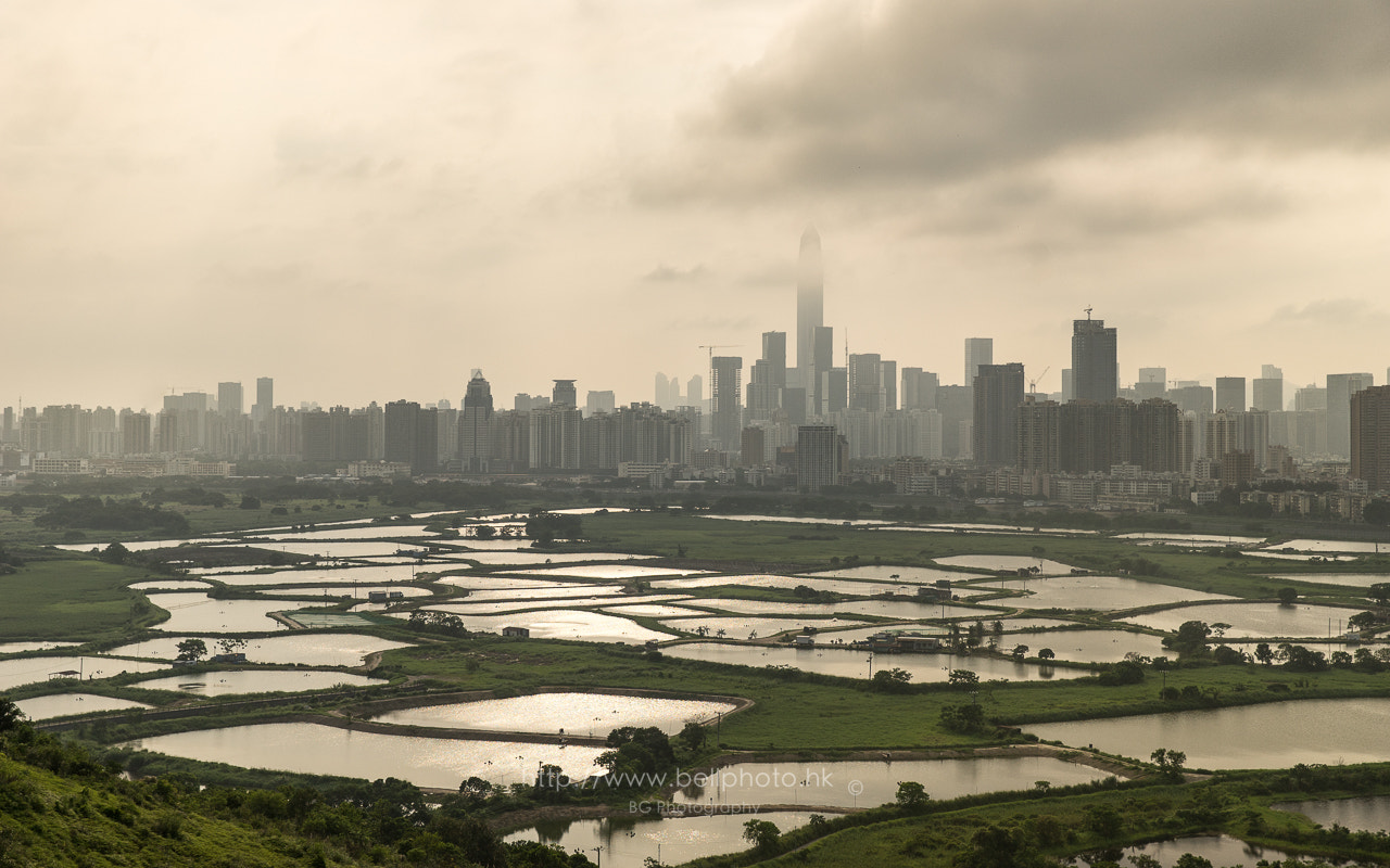 Sony a7 II + Canon EF 85mm F1.2L II USM sample photo. Hk-cn boundary. photography