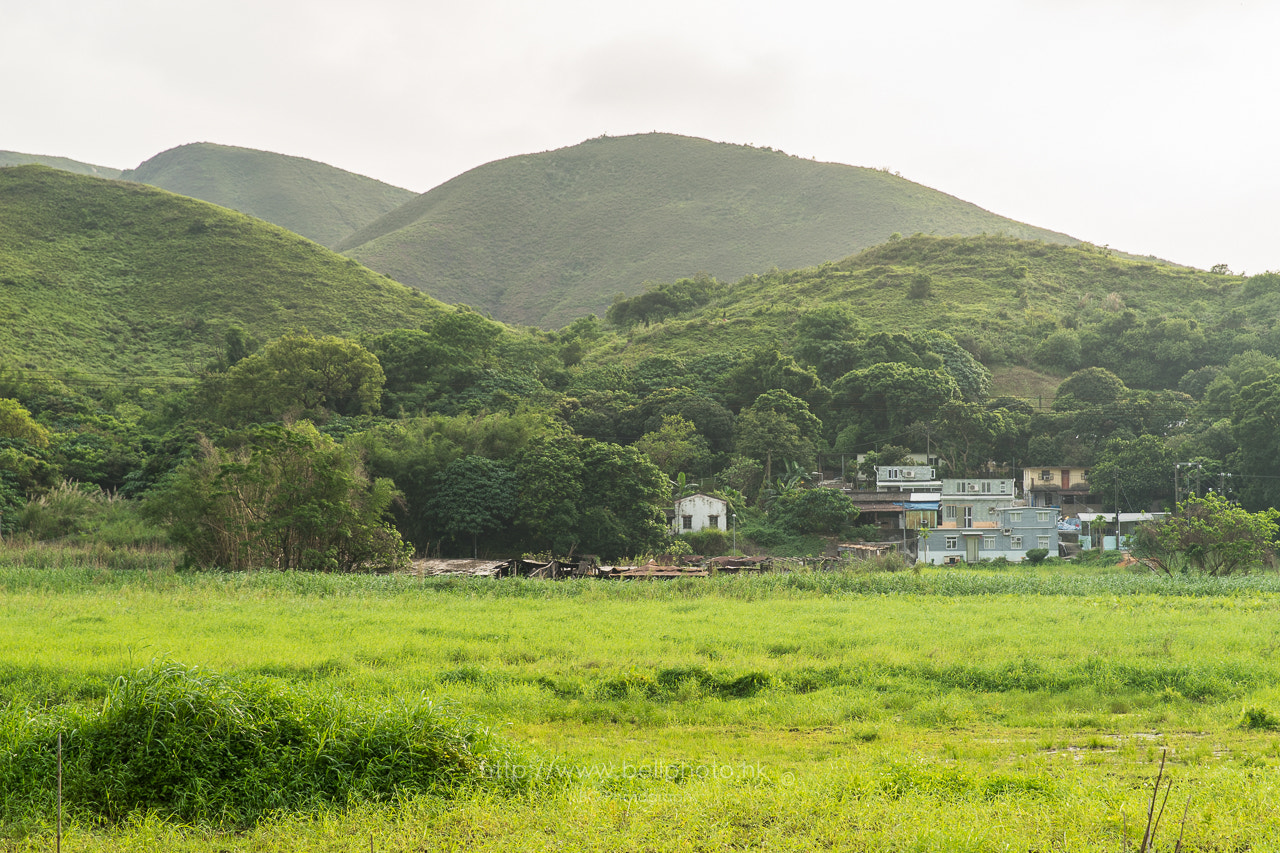 Sony a7 II + Canon EF 85mm F1.2L II USM sample photo. Country side. photography