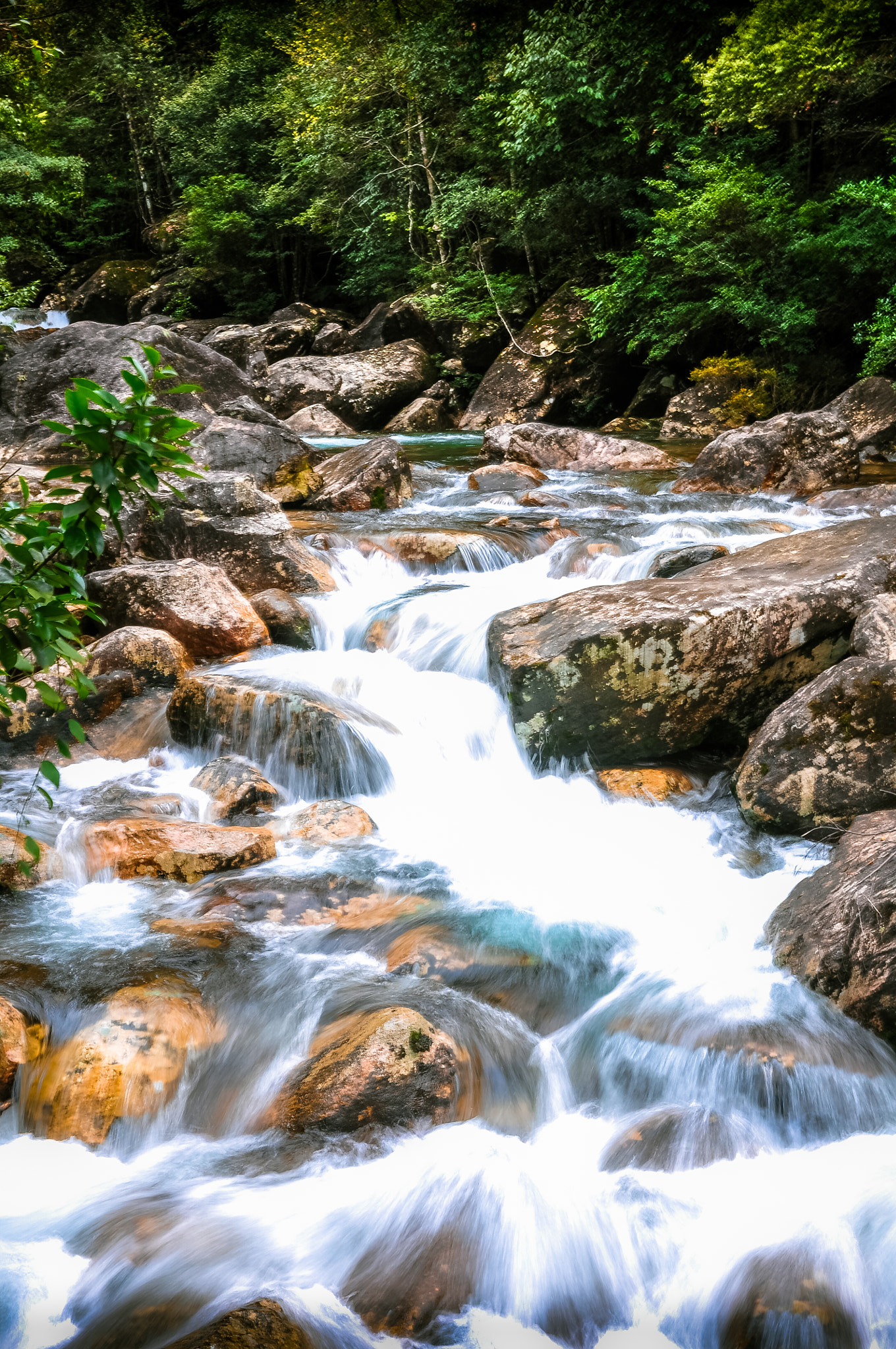 Nikon AF-S Nikkor 28-70mm F2.8 ED-IF sample photo. Wuyishan photography