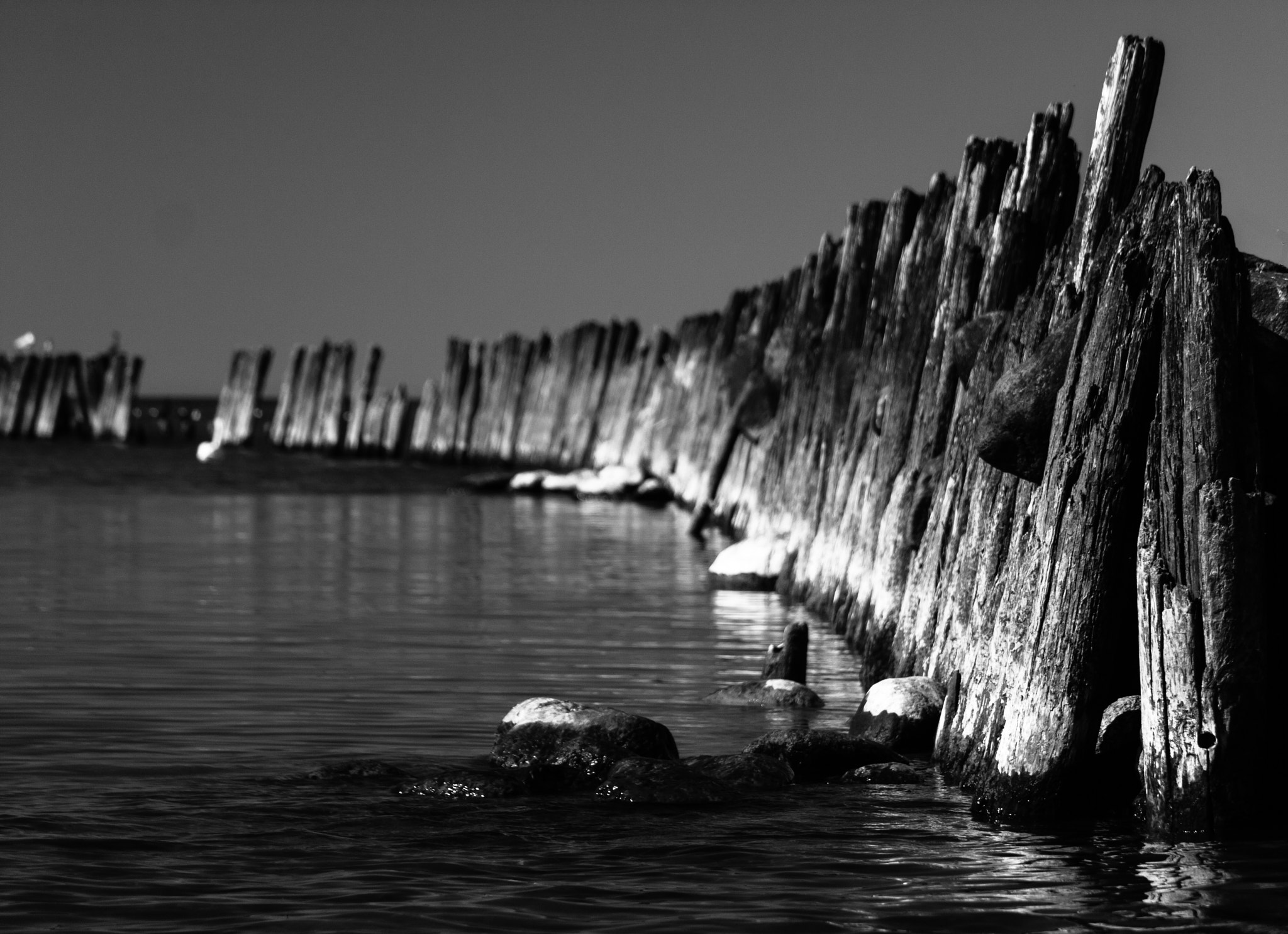 Canon EF-S 55-250mm F4-5.6 IS STM sample photo. Pier photography